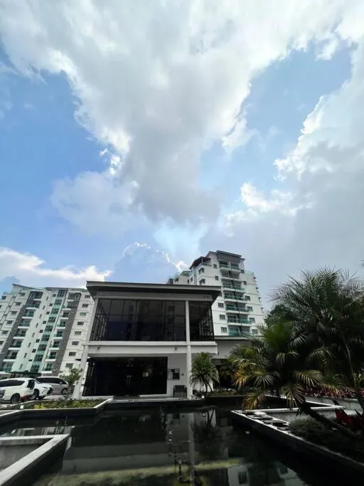 Lily King (modern and comfy)