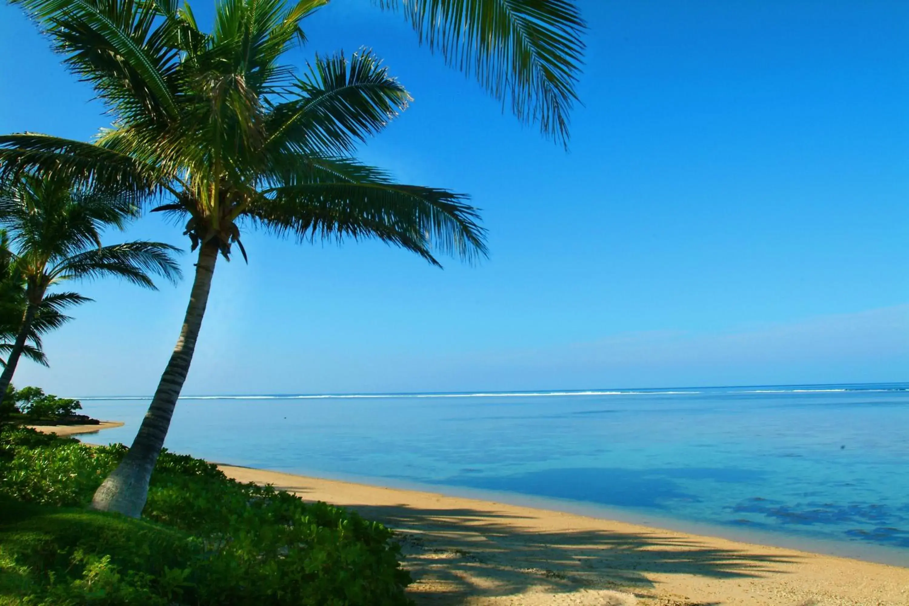 Beach in Bedarra Beach Inn Beach in Bedarra Beach Inn