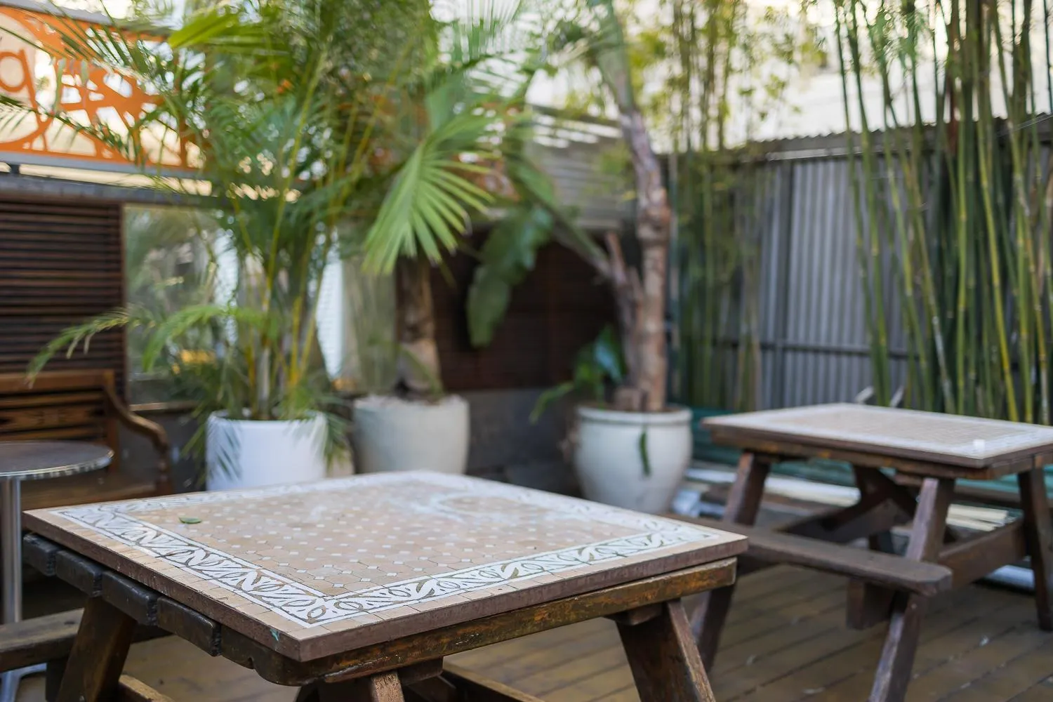 Garden in London Plane Backpackers