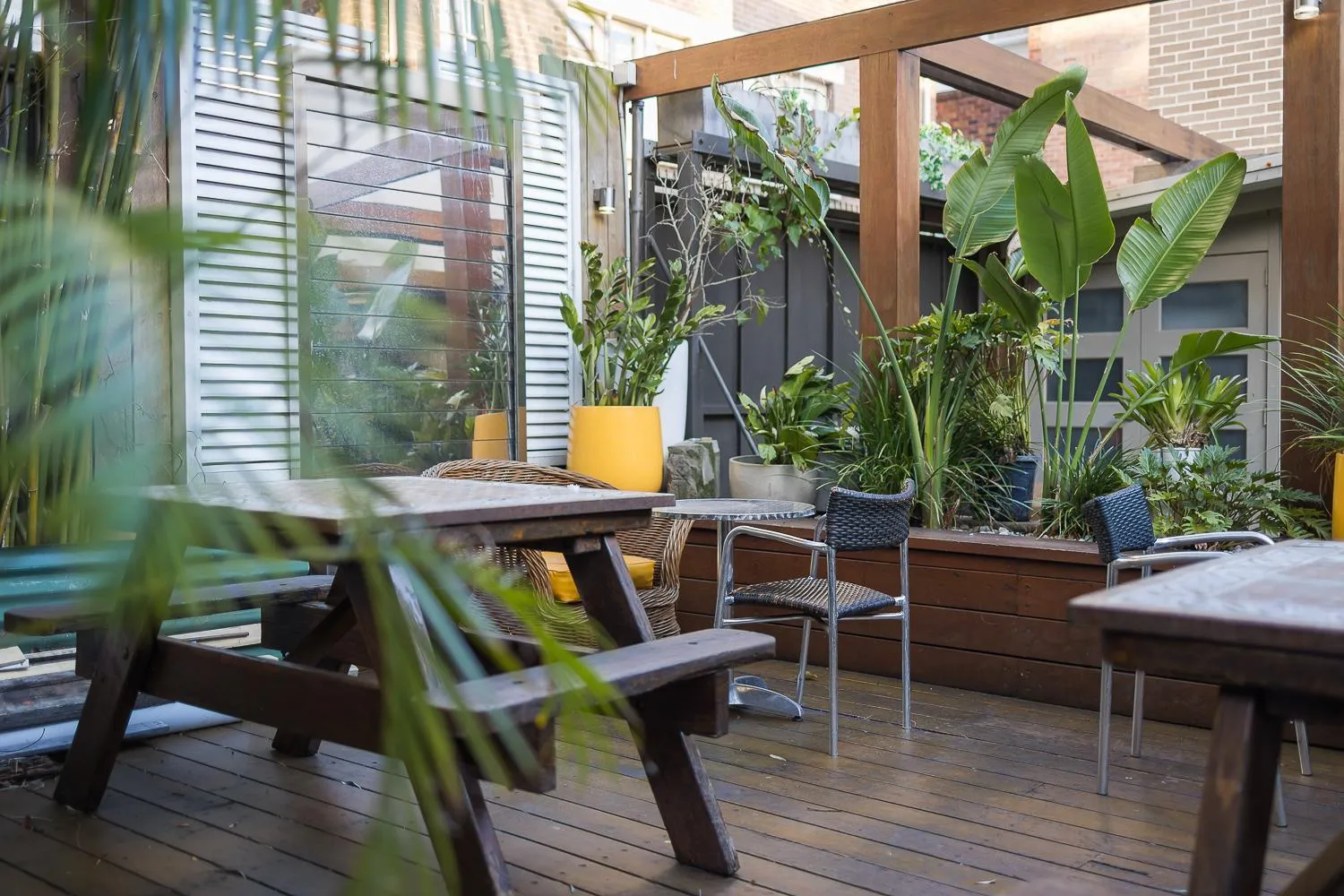 Garden in London Plane Backpackers