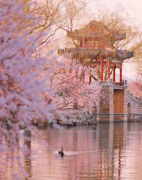 base-Beijing Wangfujing Serviced Apartment- in Hutong &Bike rental &Close to Forbidden City, Tian'anmen Square &Subway nearby &Free coffee &Washing machine,Kitchen &Restaurant discount &English speaking &High speed free WiFi