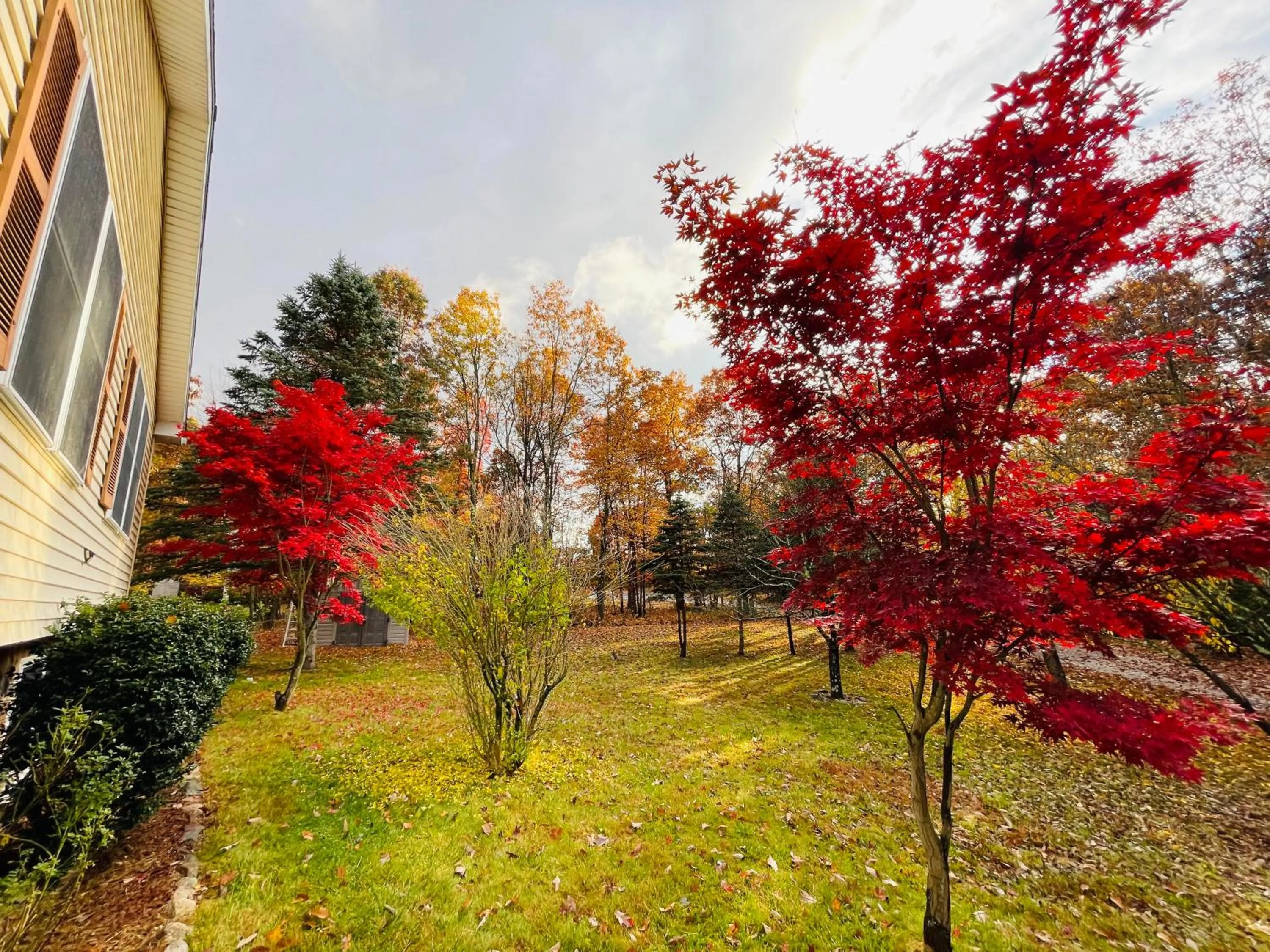 Garden in Stunning Poconos Villa- Hot Tub, Pool, Game Room, BBQ & more
