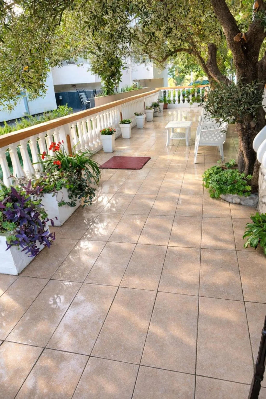 Garden in Villa San Marco