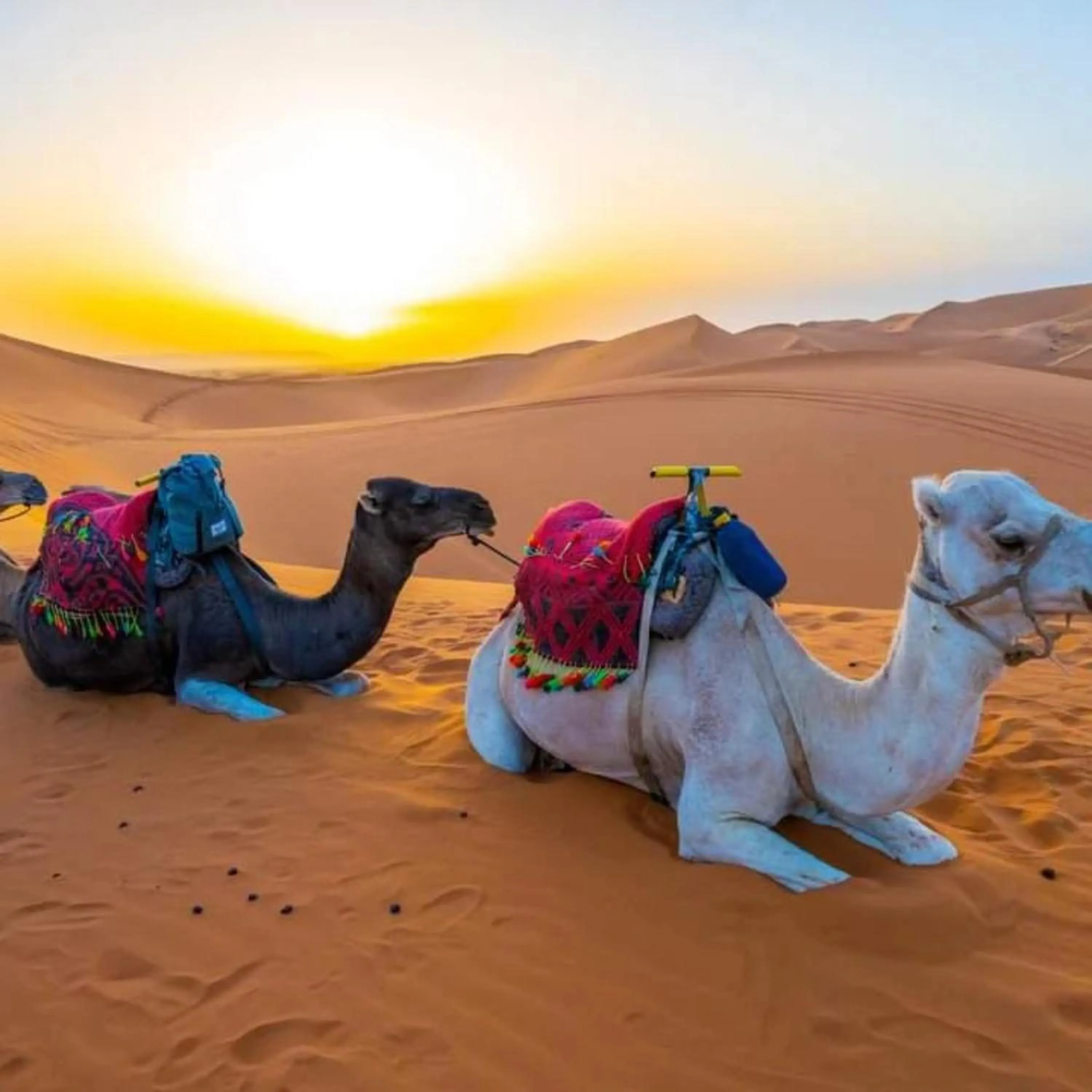 Hiking in Merzouga heart camp