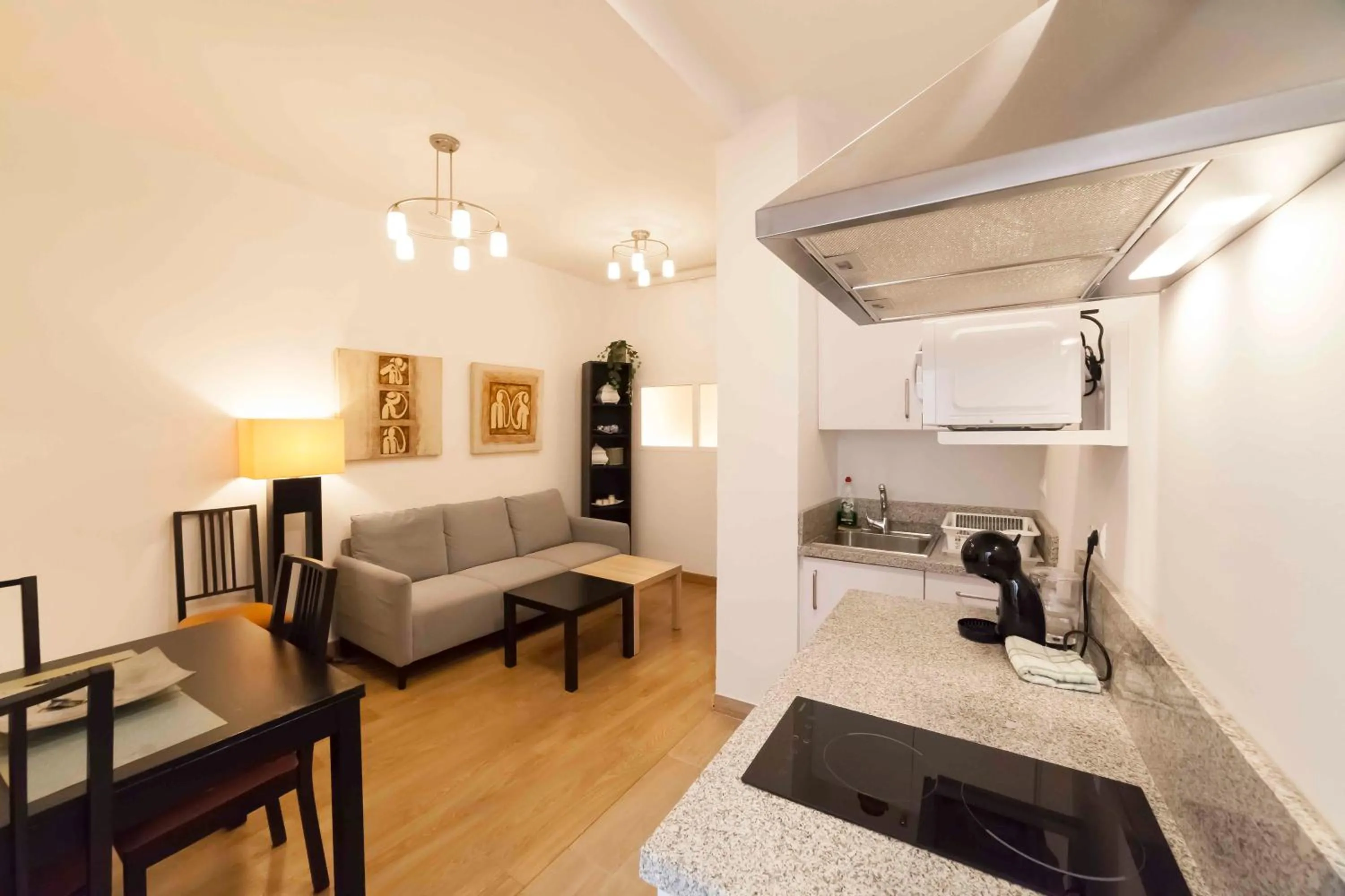SF - Shiny Apartment in City Centre
