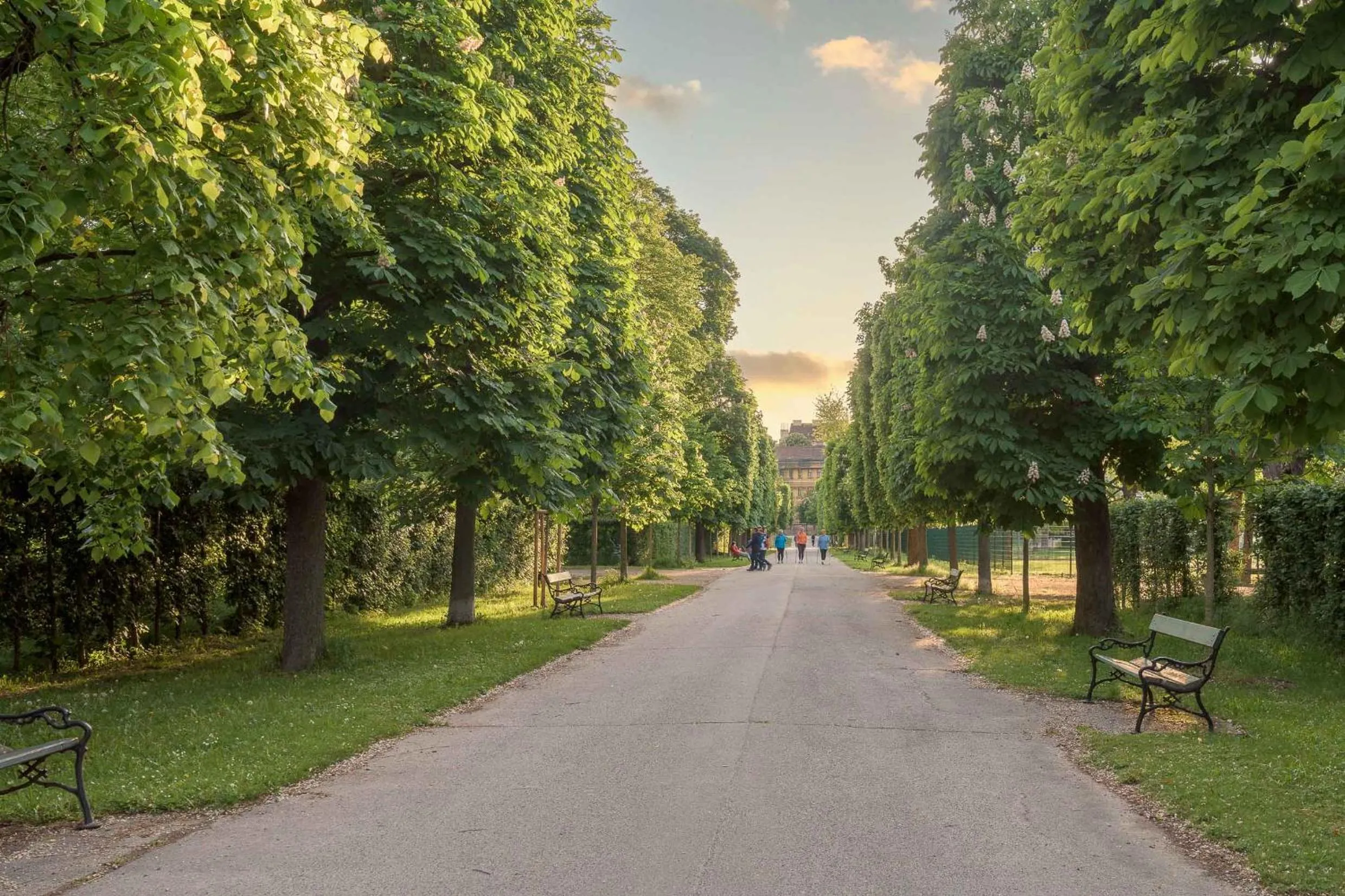 Neighbourhood in Limehome Vienna Karajangasse