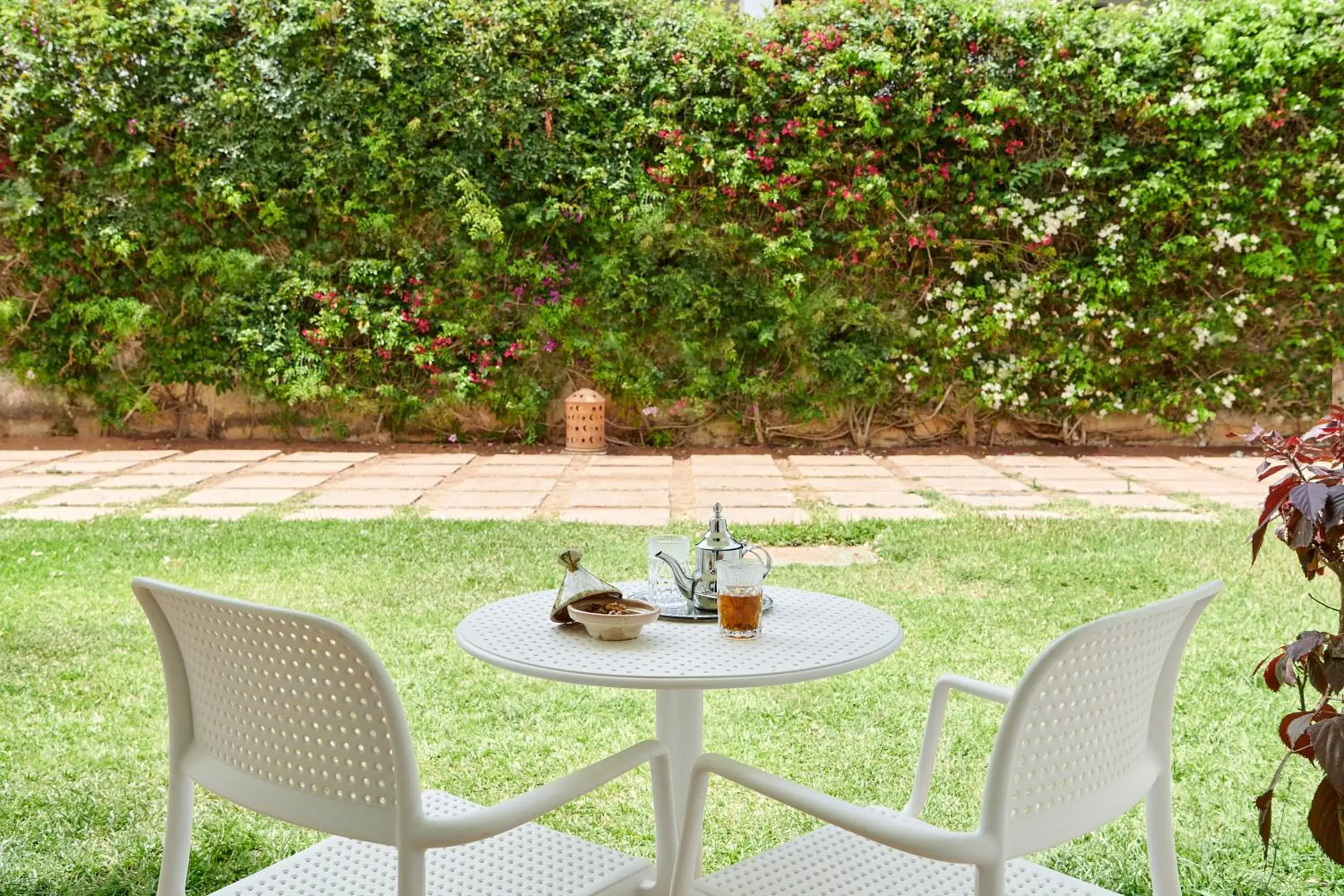 Garden view in Iberostar Waves Founty Beach All Inclusive Garden view in Iberostar Waves Founty Beach All Inclusive