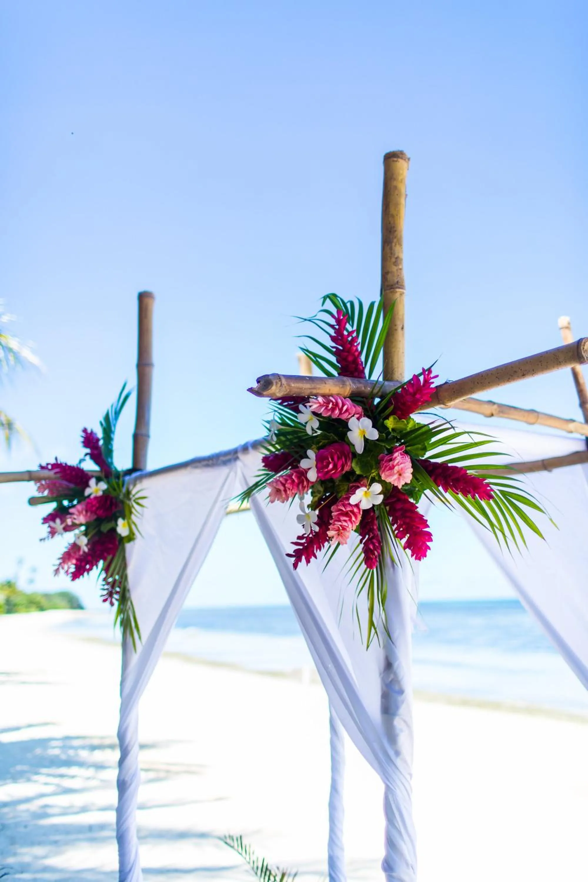 Area and facilities in Plantation Island Resort