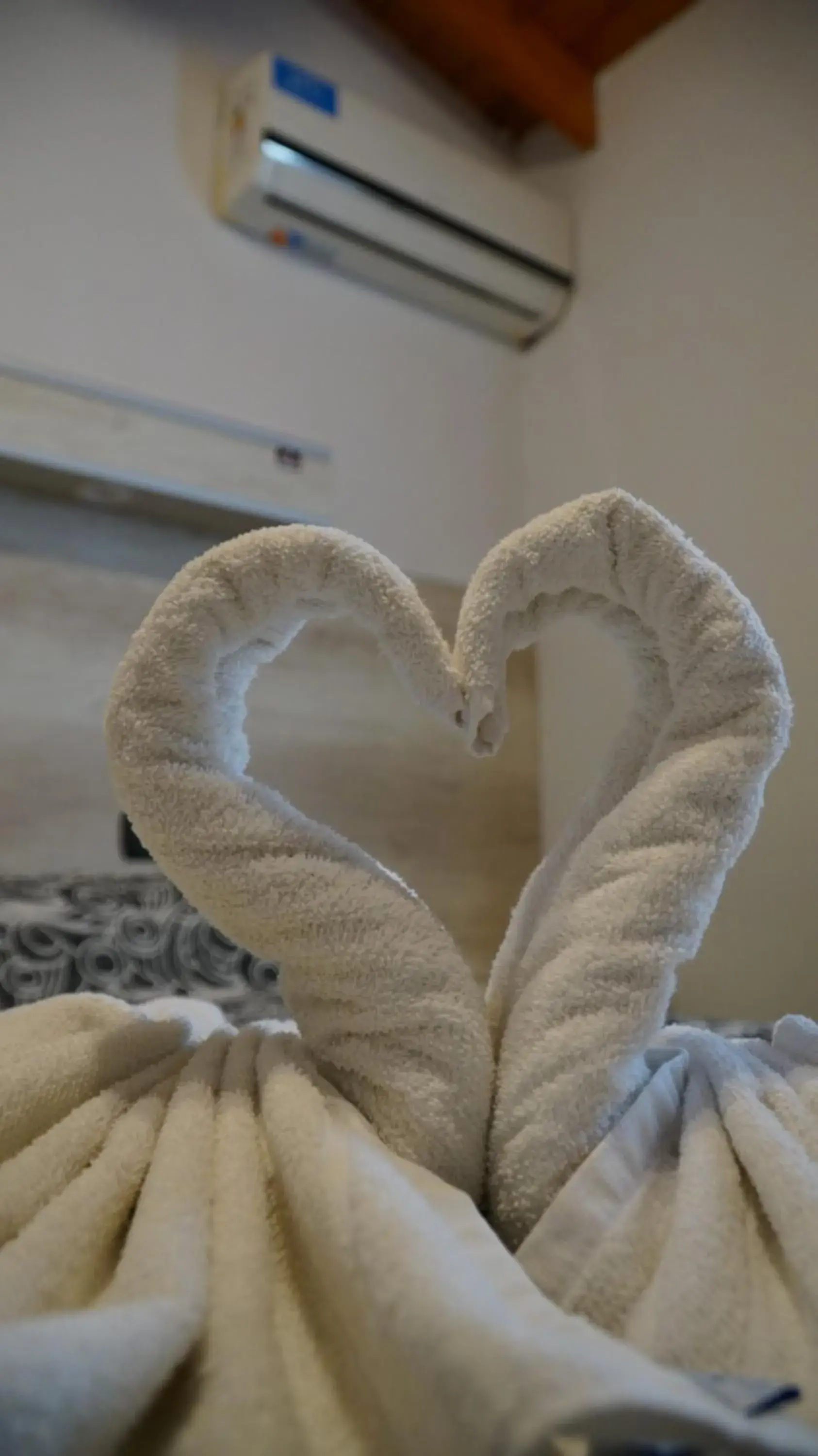 Photo of the whole room in Aranjuez Real Photo of the whole room in Aranjuez Real