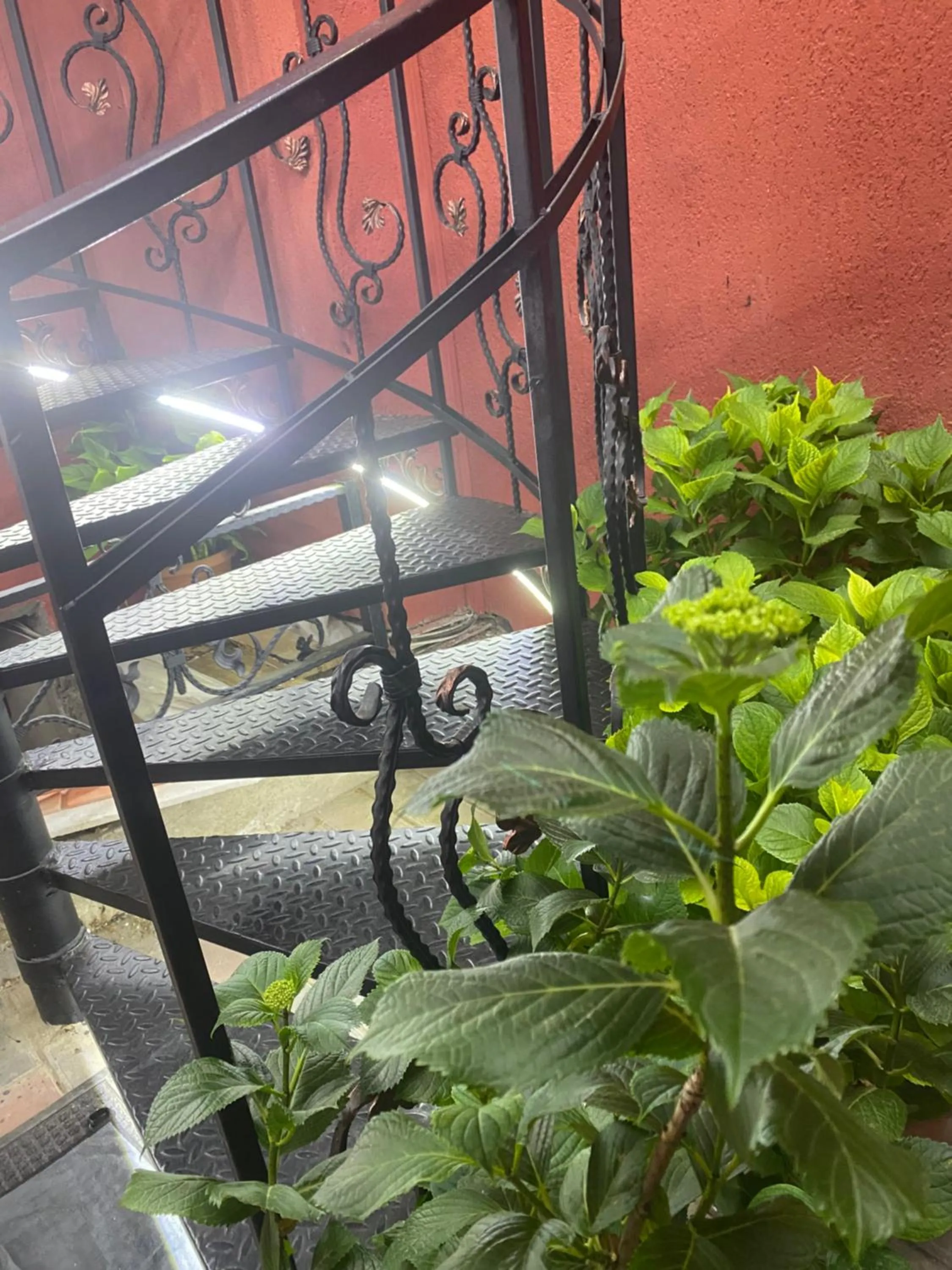 Property building in Queen Tamar