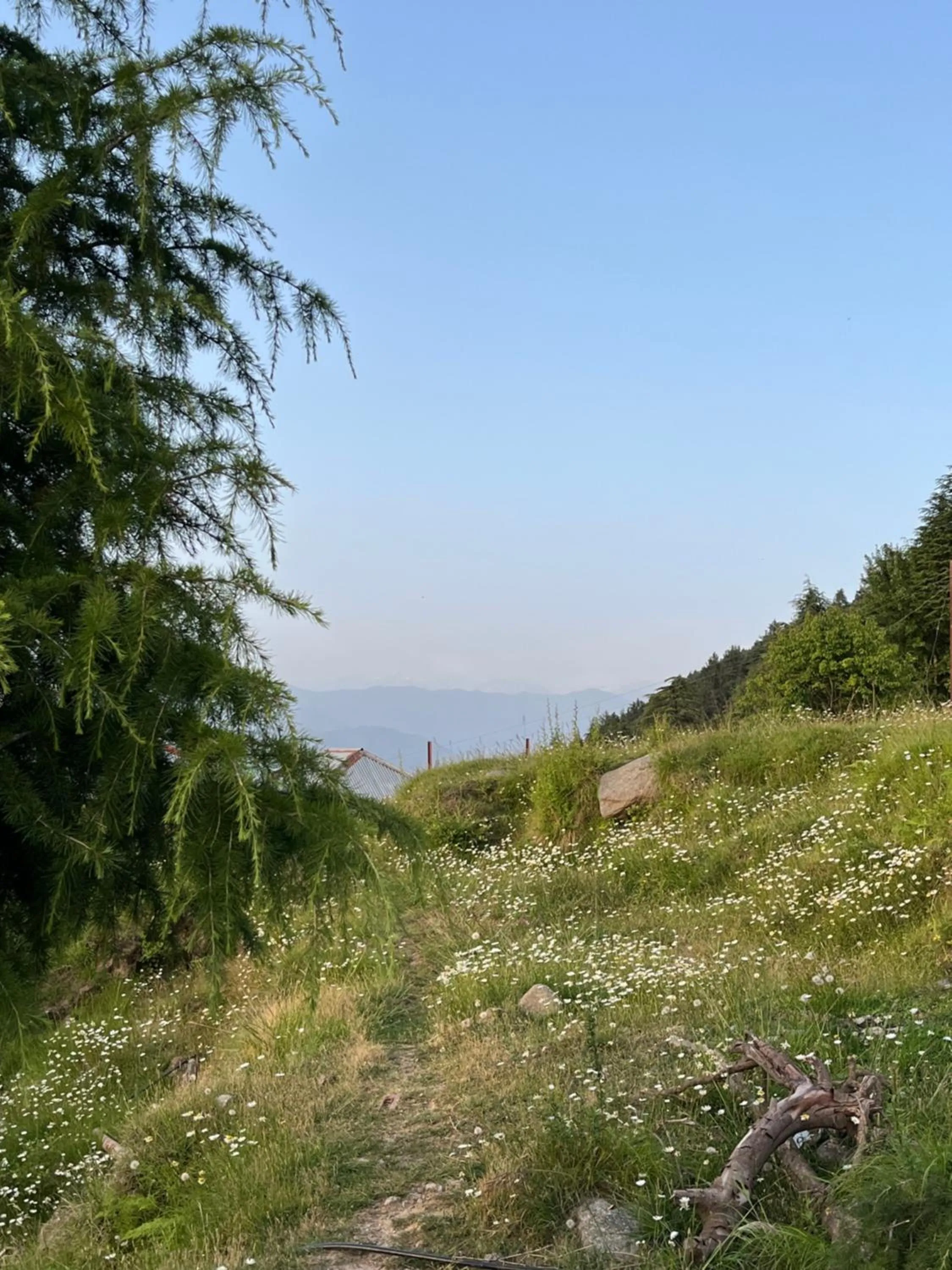 View (from property/room) in Sunset Lagoon Dalhousie