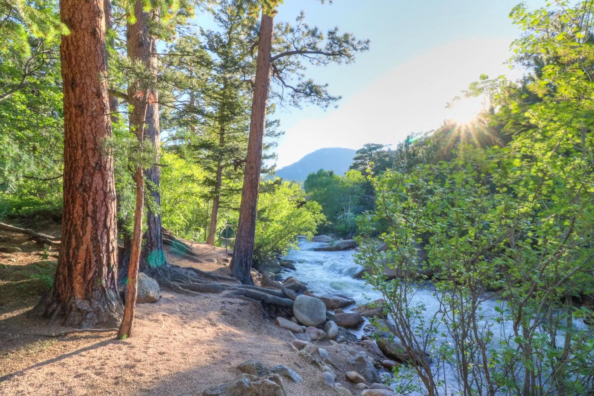 Natural landscape in Castle Mountain Lodge