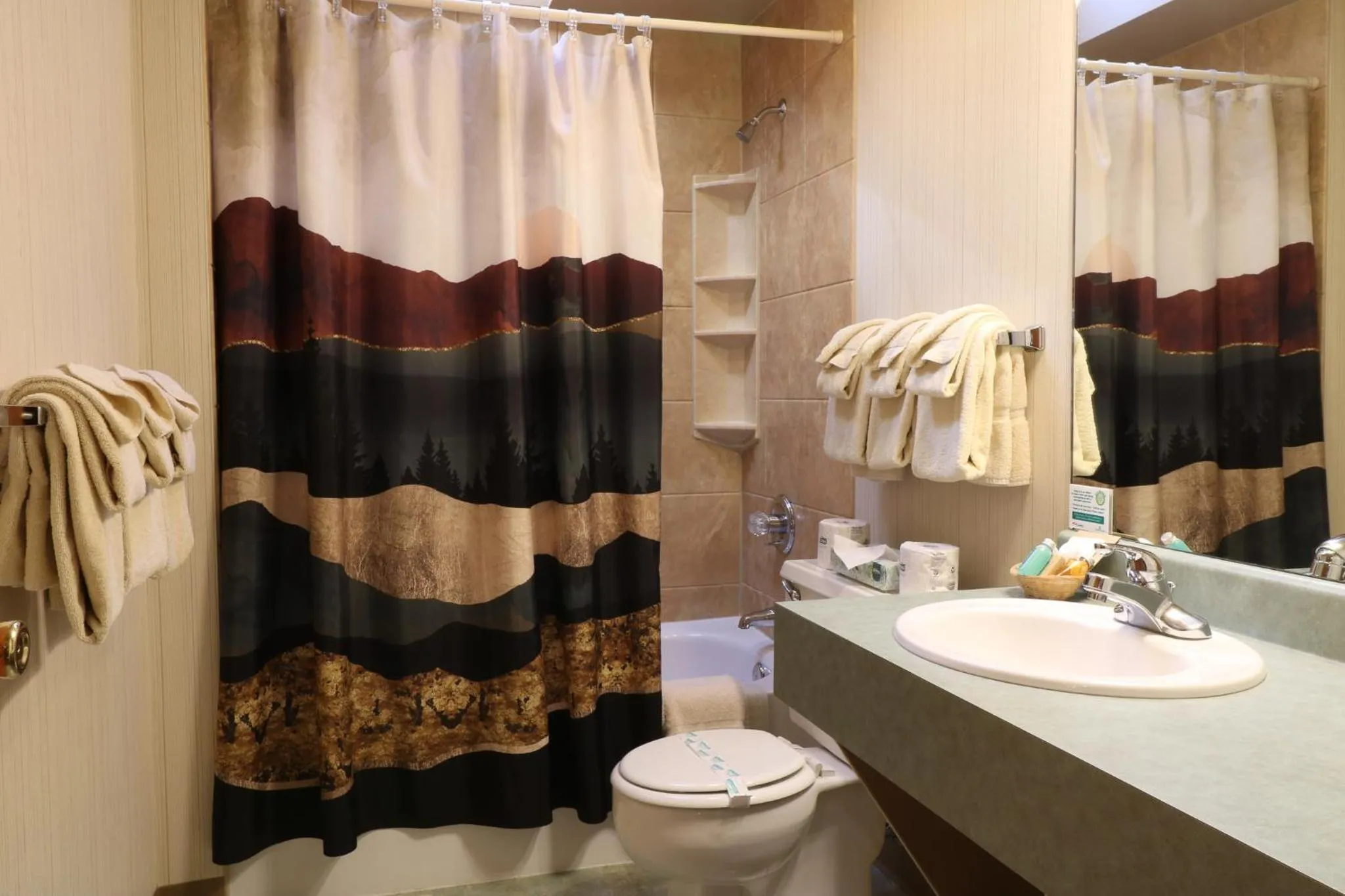 Toilet in Castle Mountain Lodge