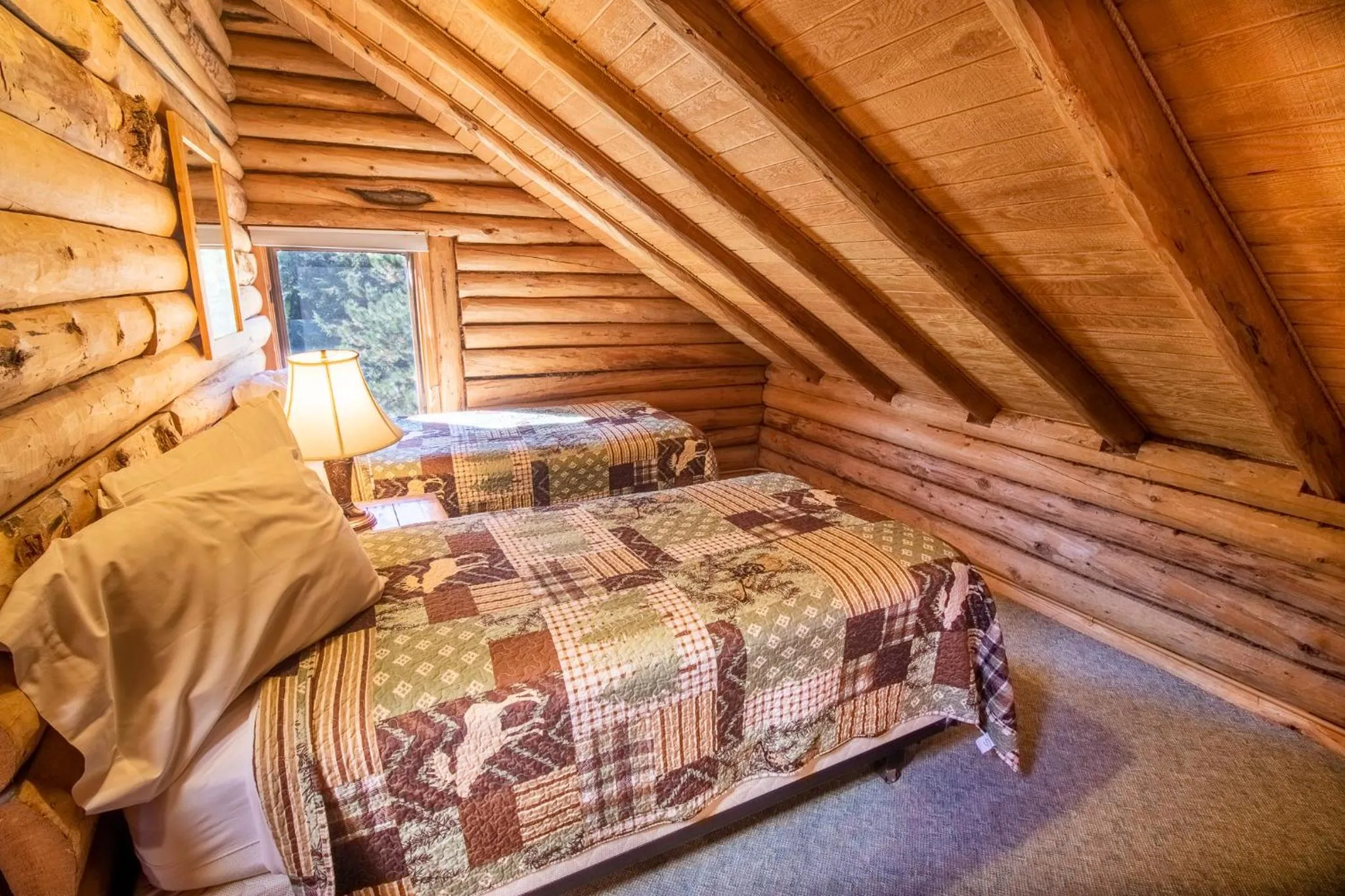 Bed in Castle Mountain Lodge
