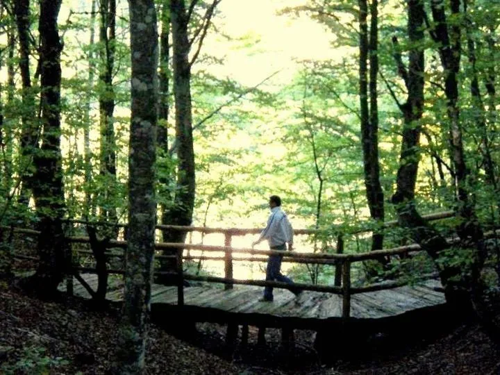 Natural landscape in Hotel Snjezna kuca - Nature Park of Bosnia Herzegovina