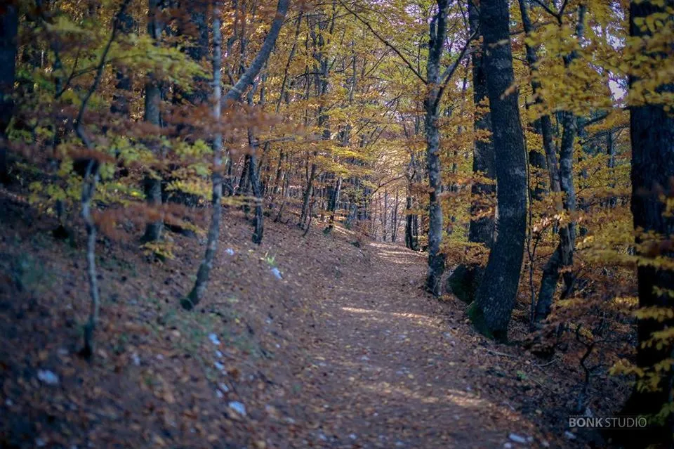 Hiking in Hotel Snjezna kuca - Nature Park of Bosnia Herzegovina
