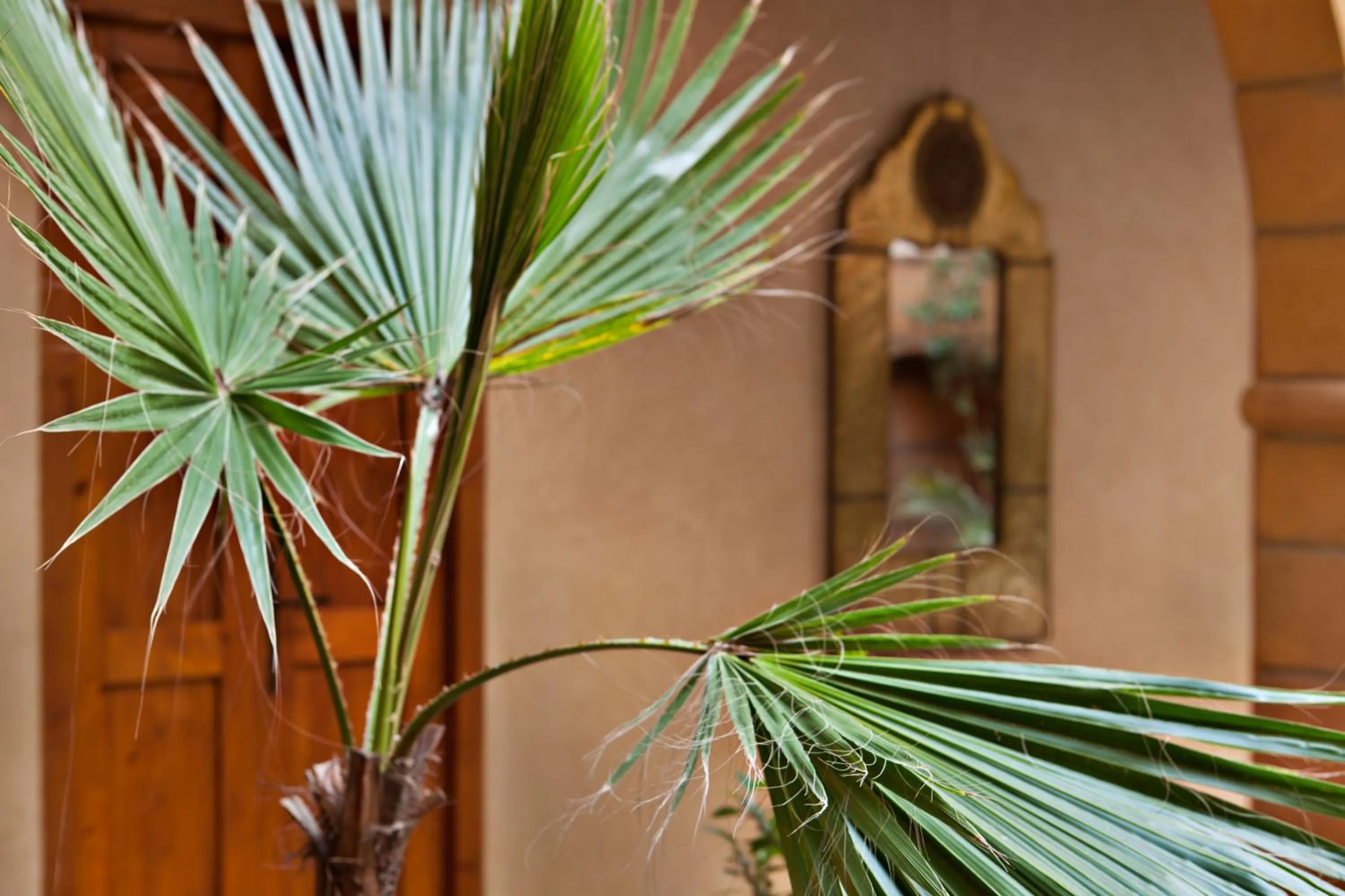 Decorative detail in Riad Chbanate