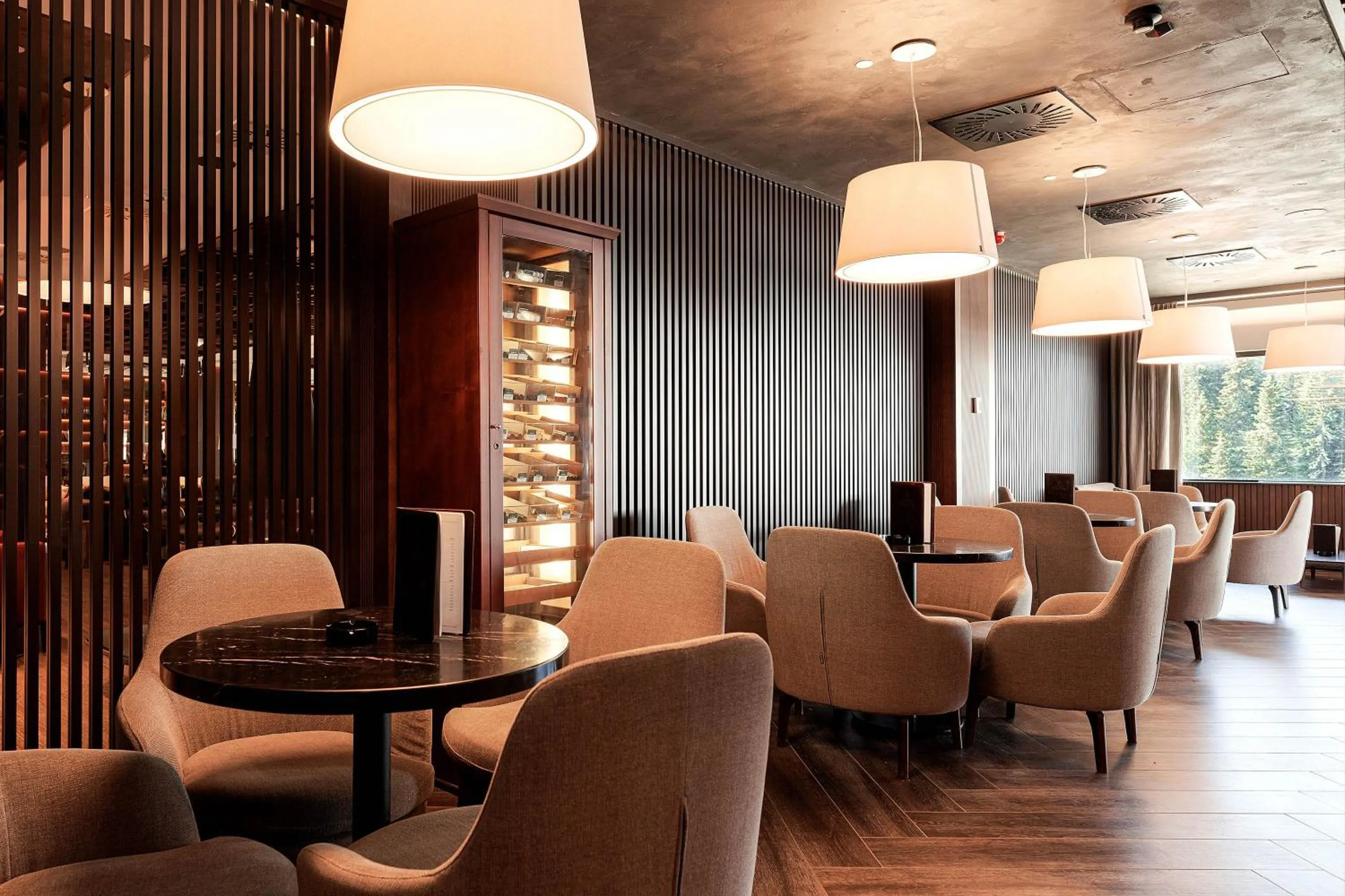 Lounge or bar in Hotel Grand Kopaonik