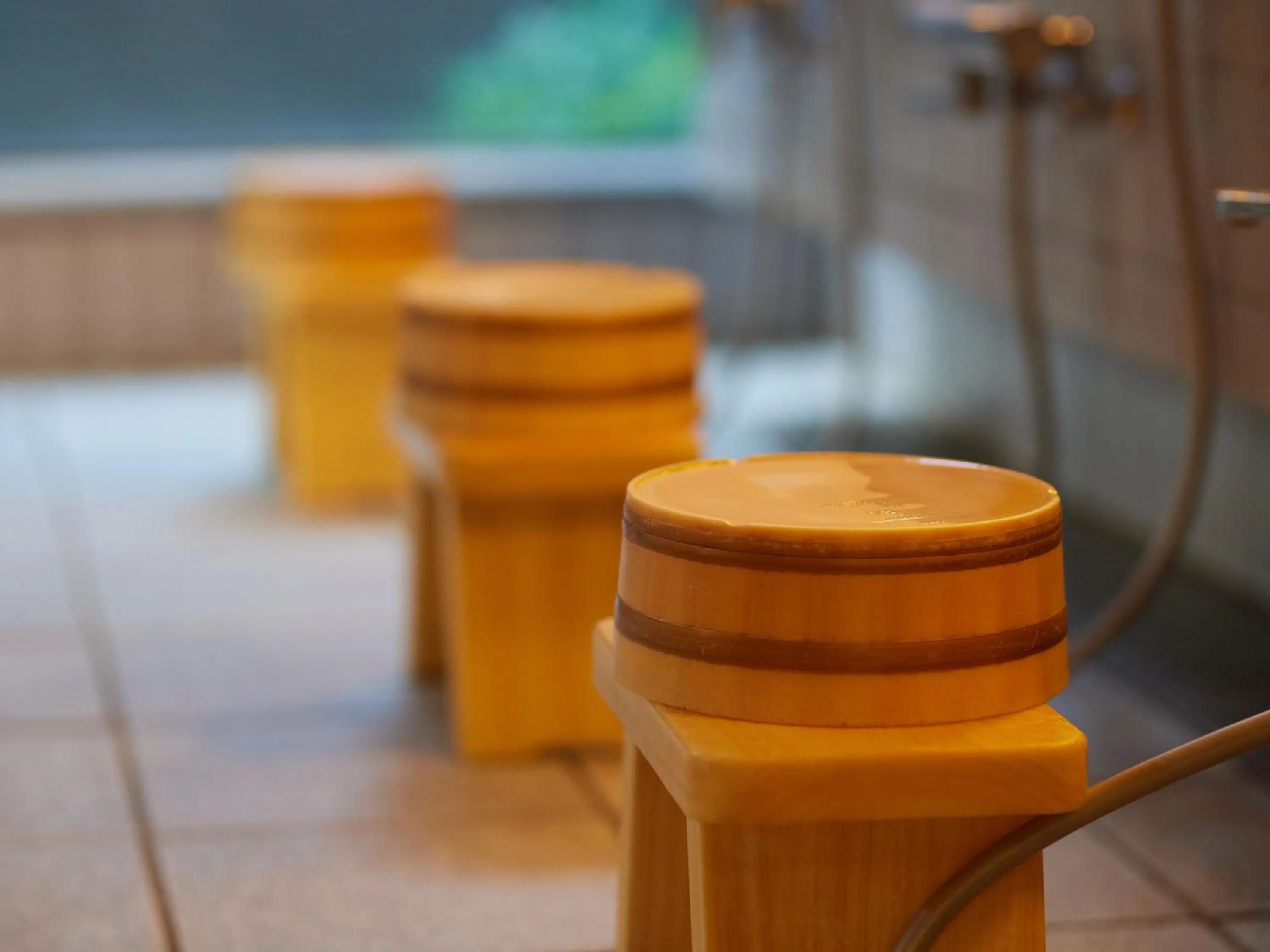 Public Bath in Sakura no Yakata Hotel