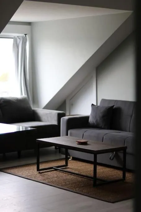 Unique modern luxury 2 bedroom apartment rental