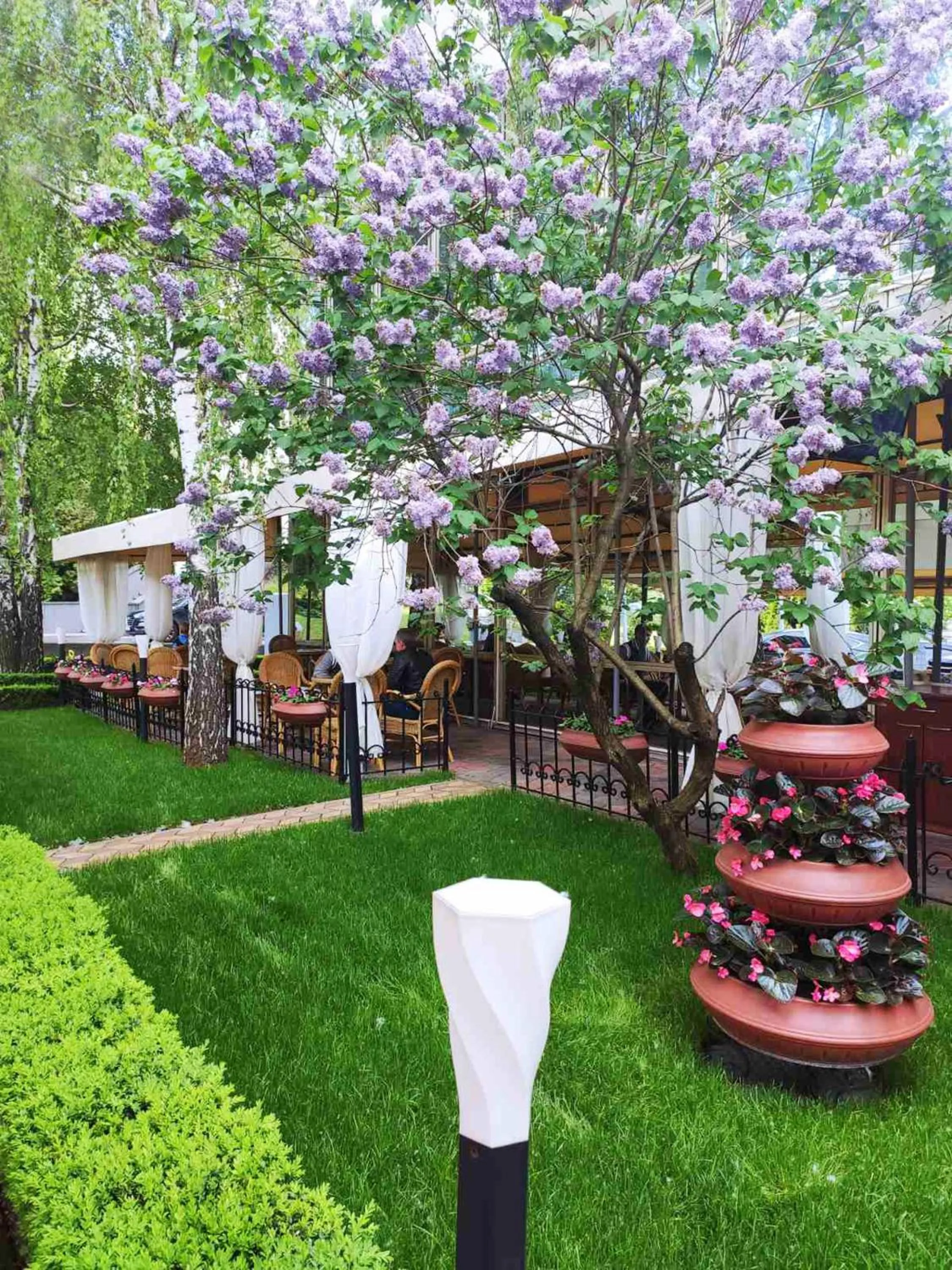 Summer in Premier Hotel Rus