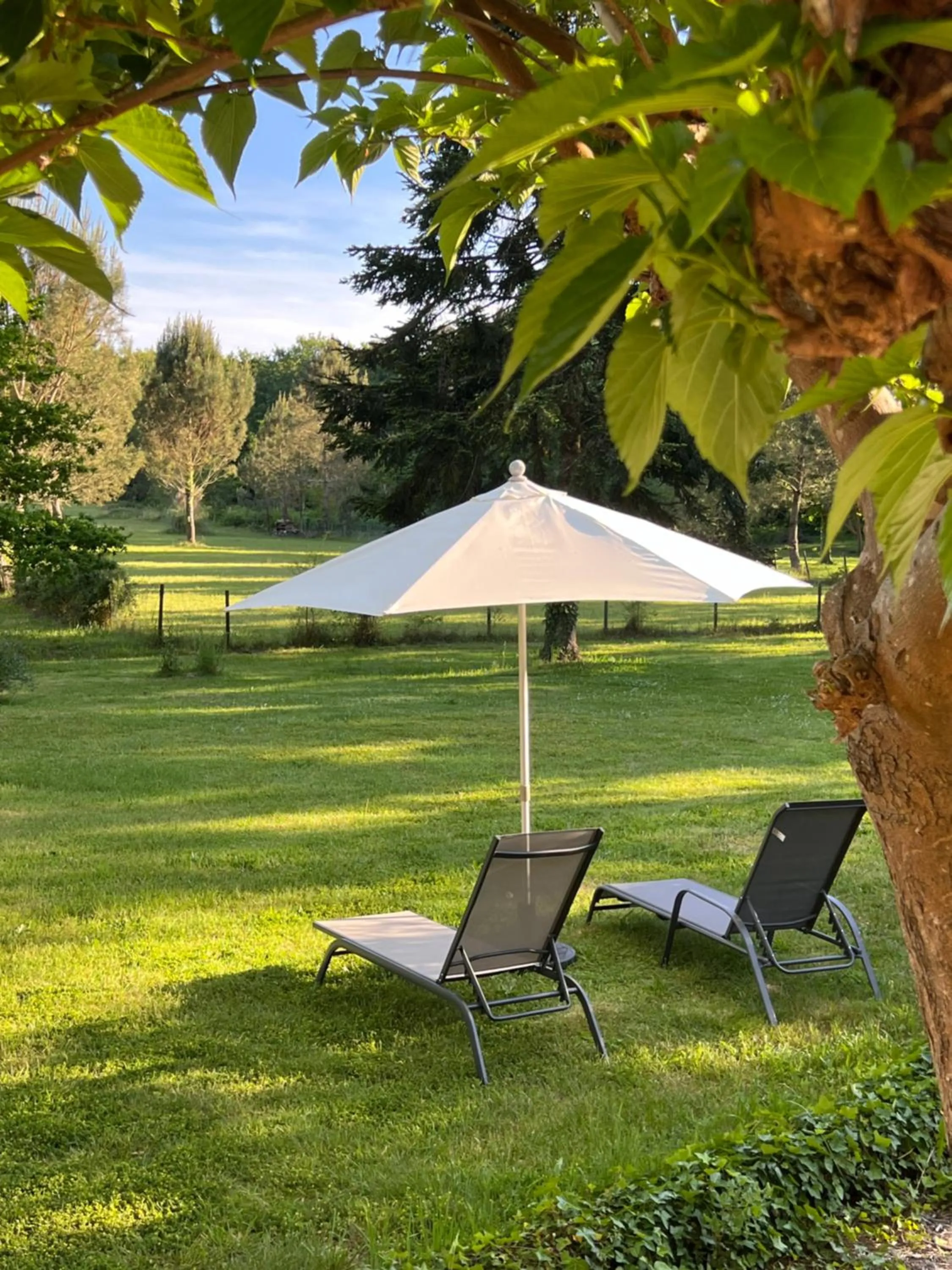 Property building, Garden in Laguillotte