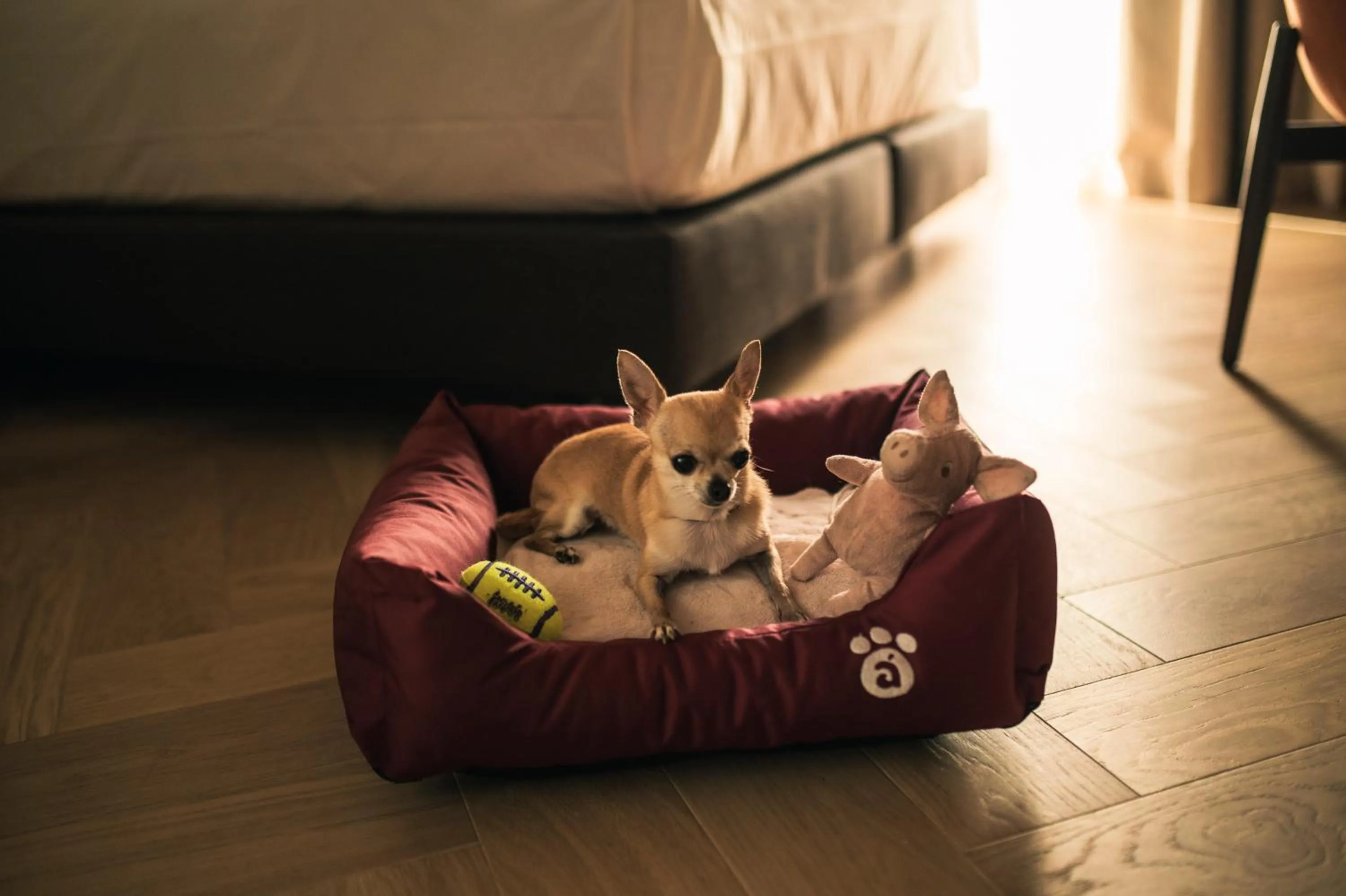 Other in Legado Magdalena Hotel