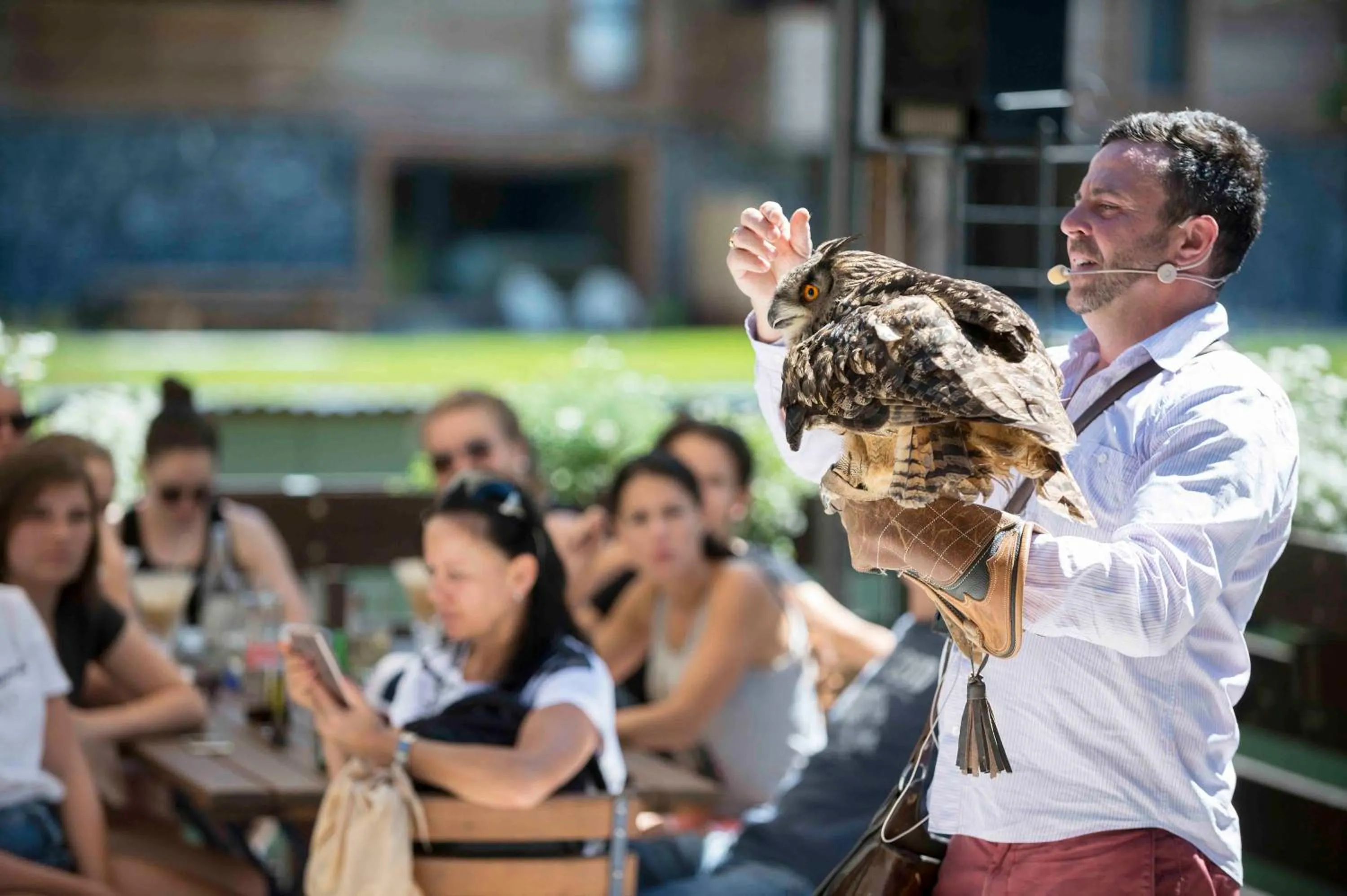 Entertainment in Hotel Falknerei Galina