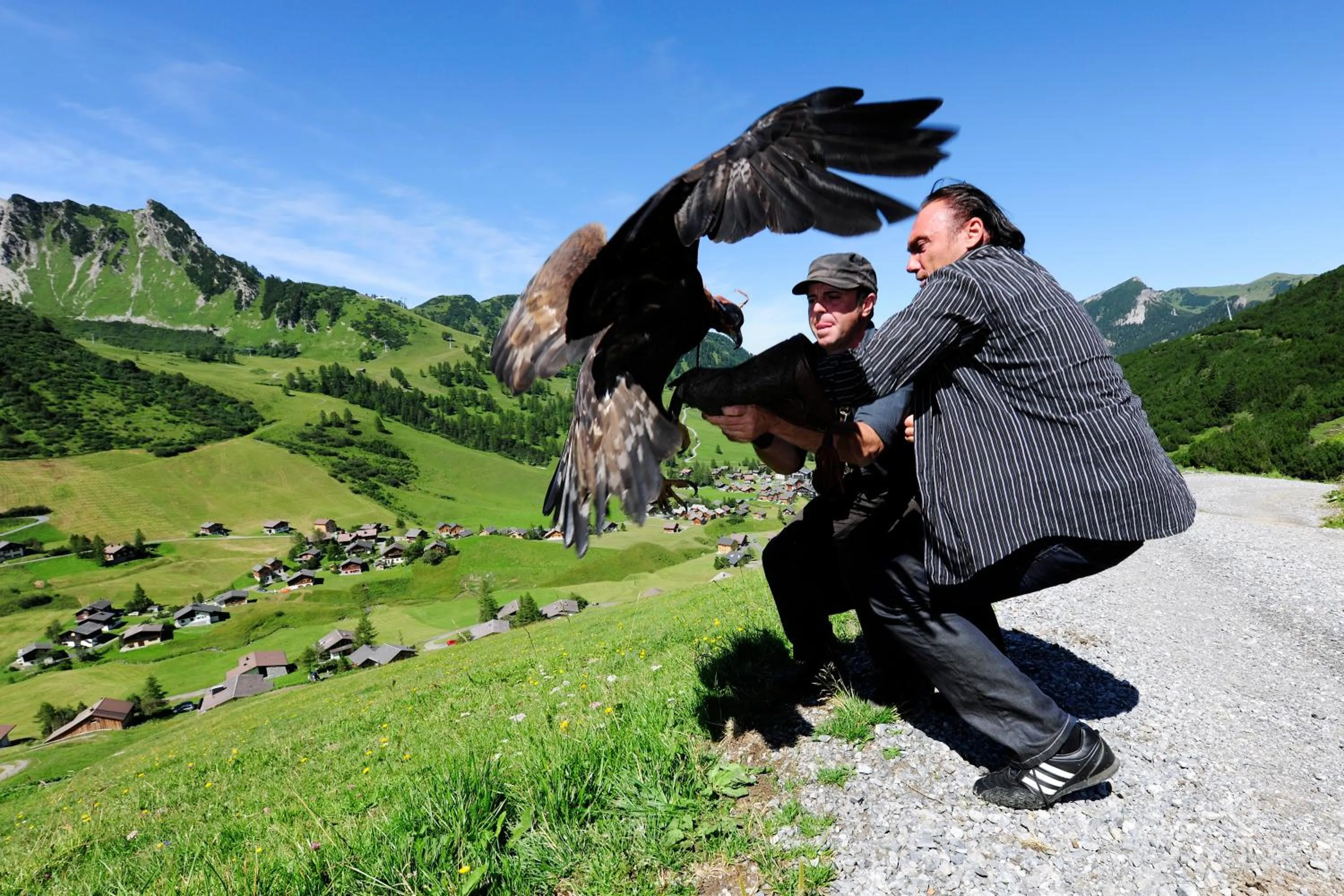 Activities in Hotel Falknerei Galina