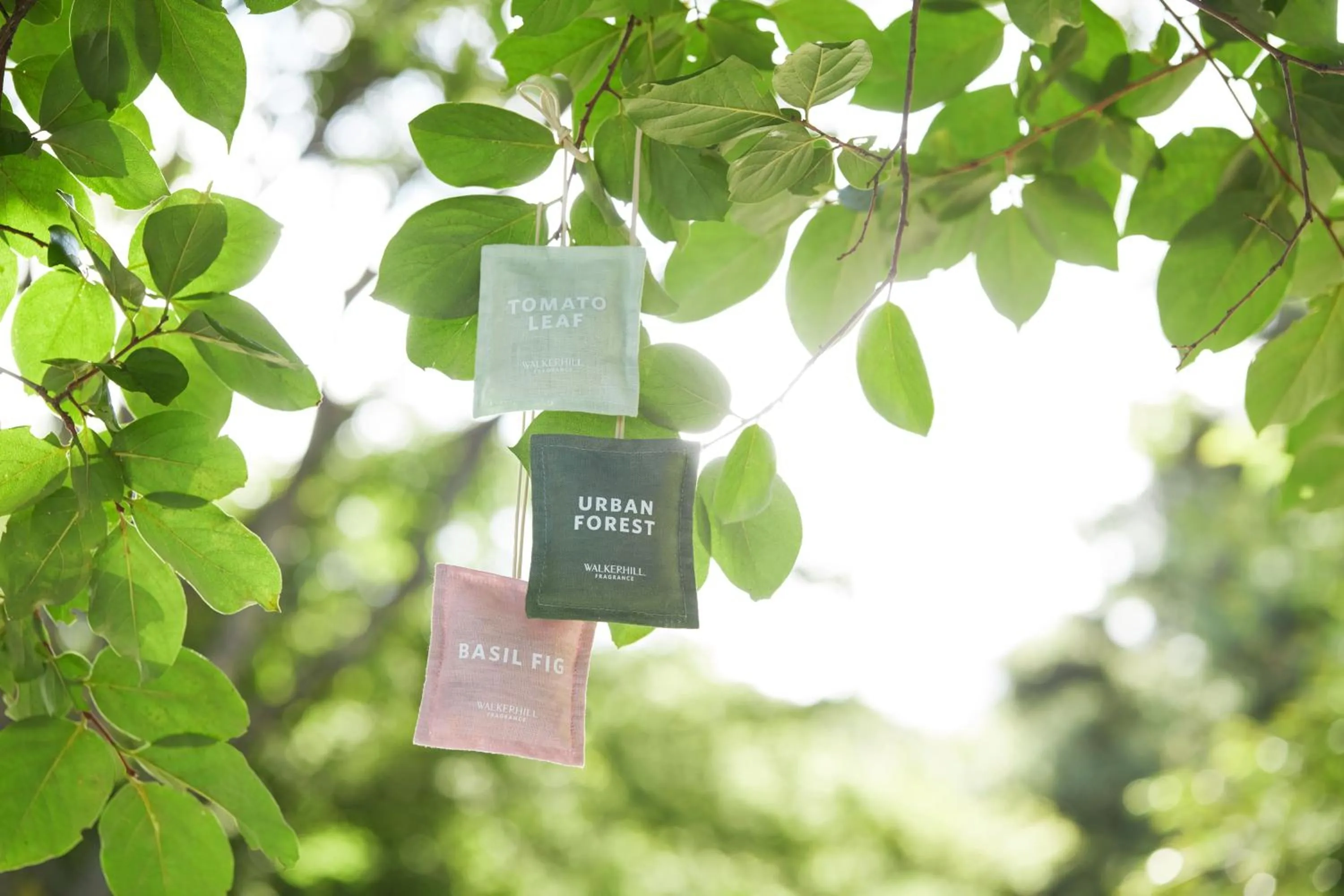 Grand Walkerhill Seoul