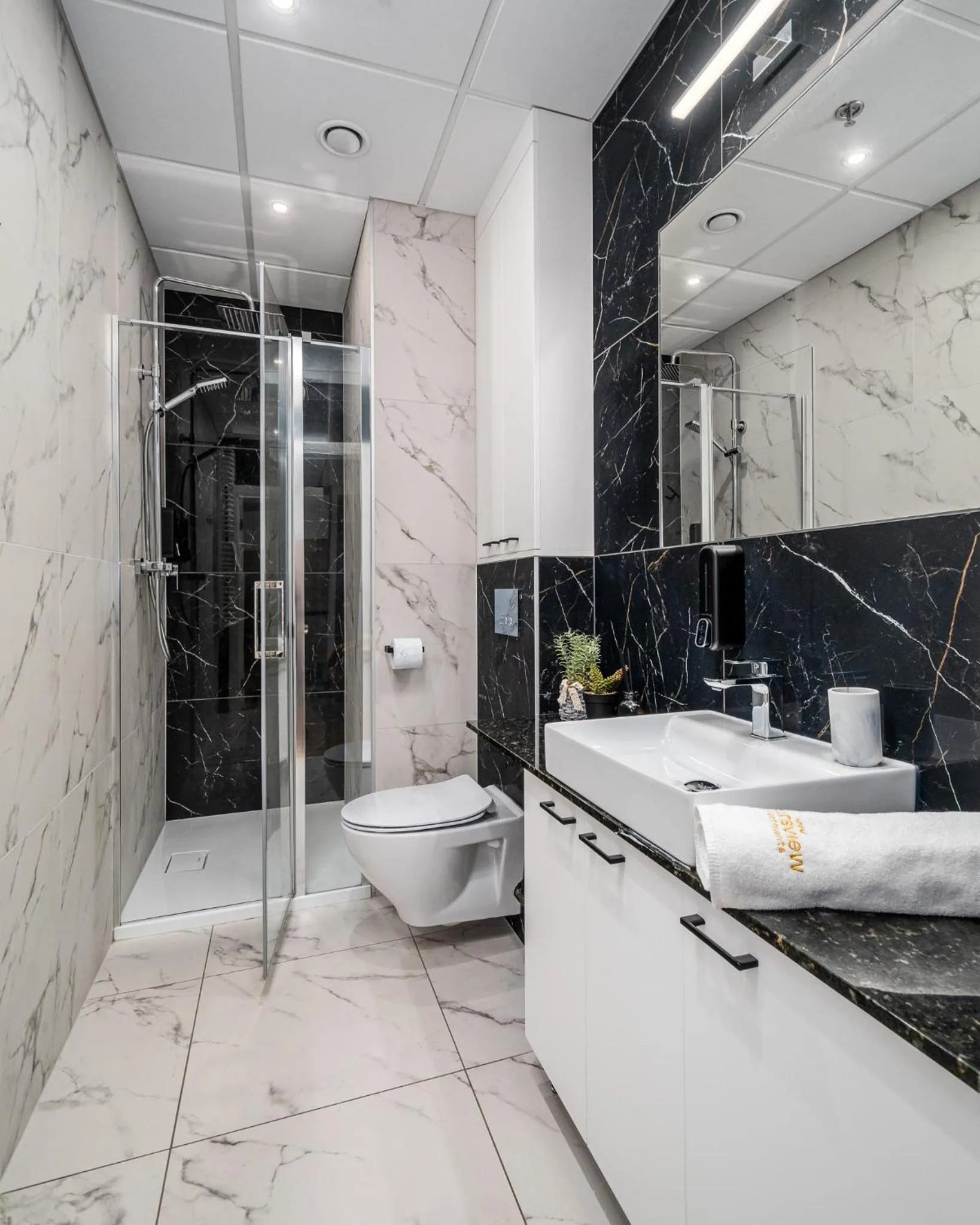 Shower in Warsview Apartments