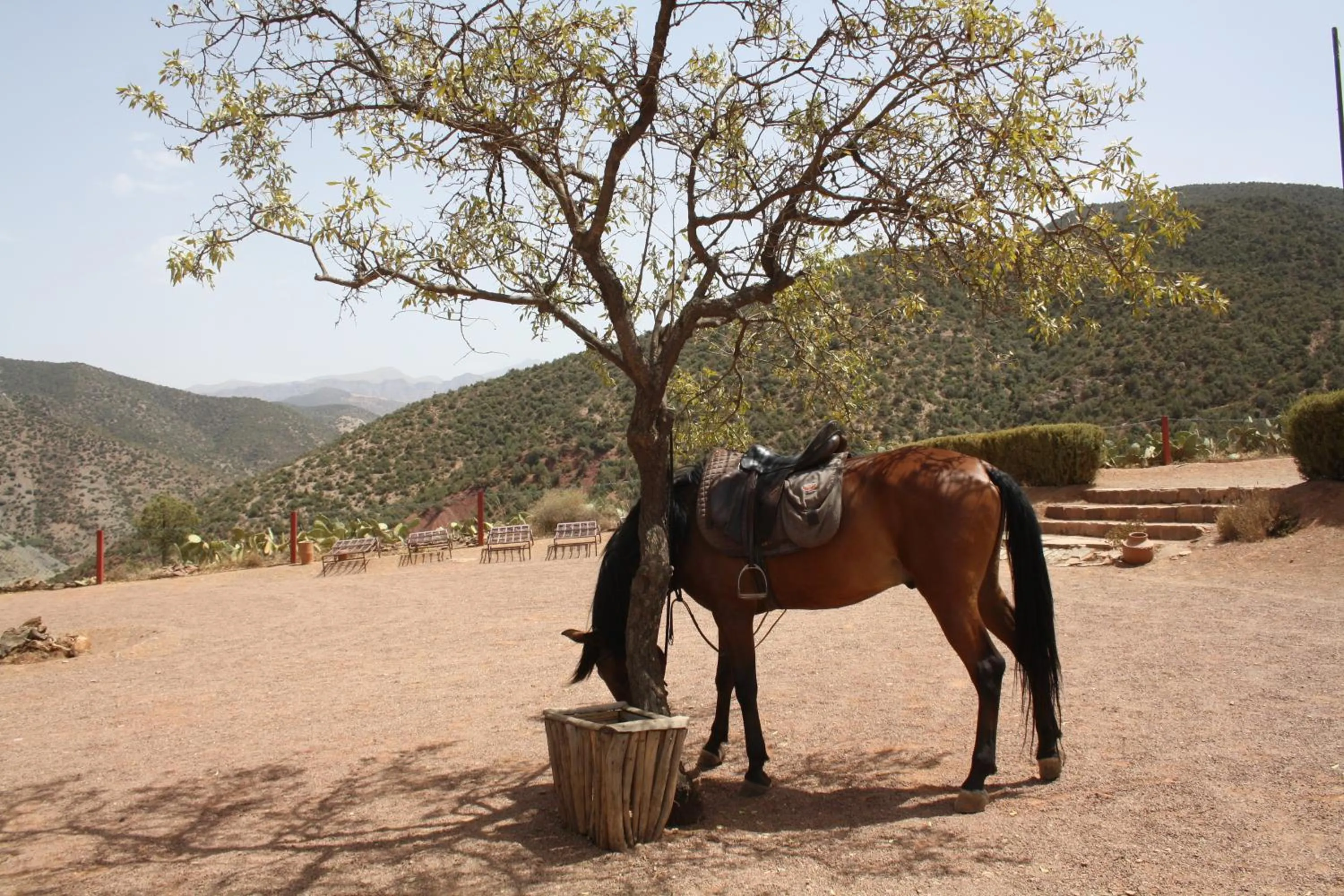 Off site in Terres d'Amanar