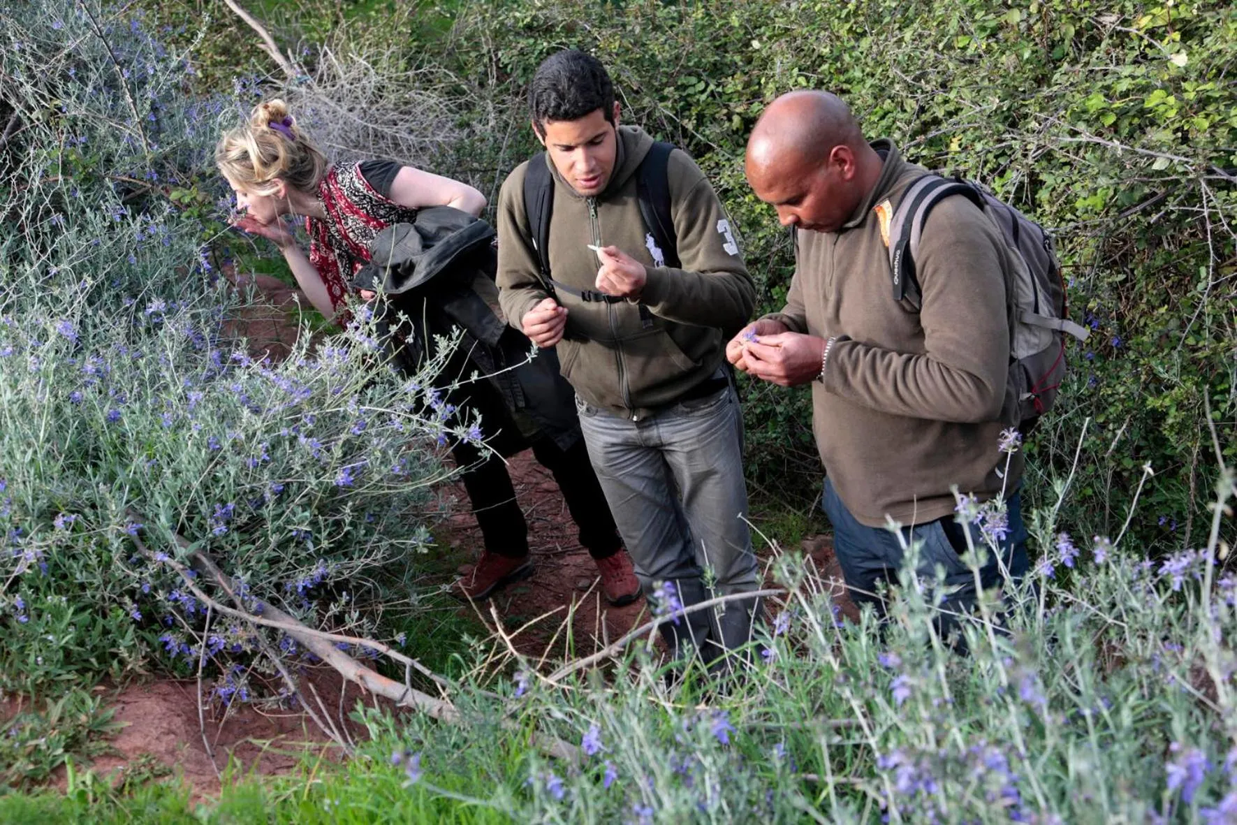 Other in Terres d'Amanar