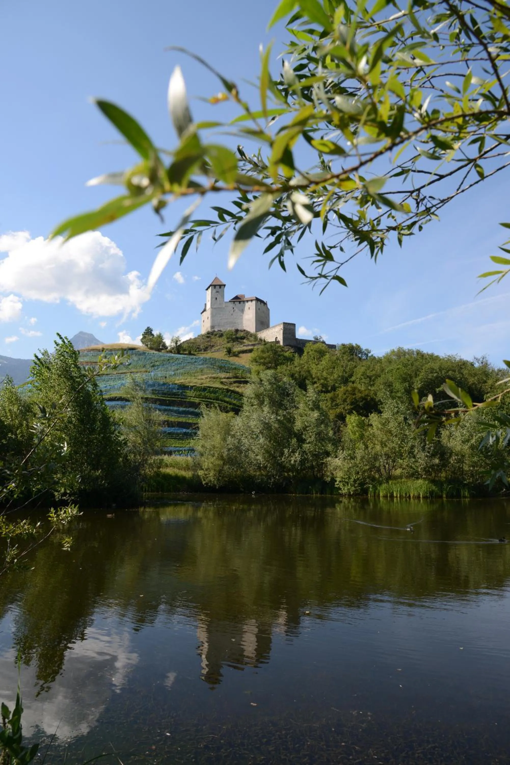 Property building in Hotel Hofbalzers