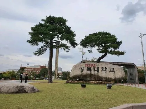 Cozy Place near Kyeongbuk university
