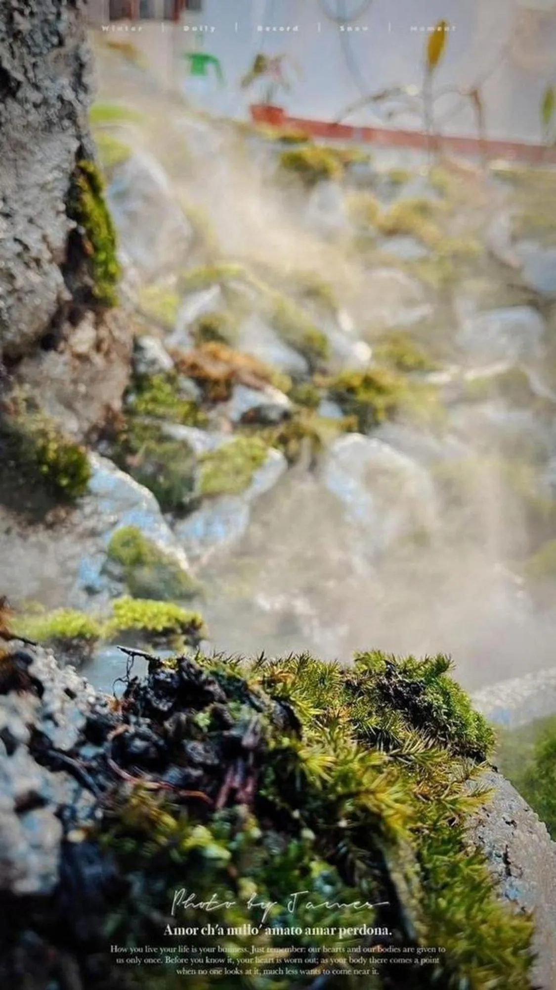 Garden view in 19th Century Boutique Hotel
