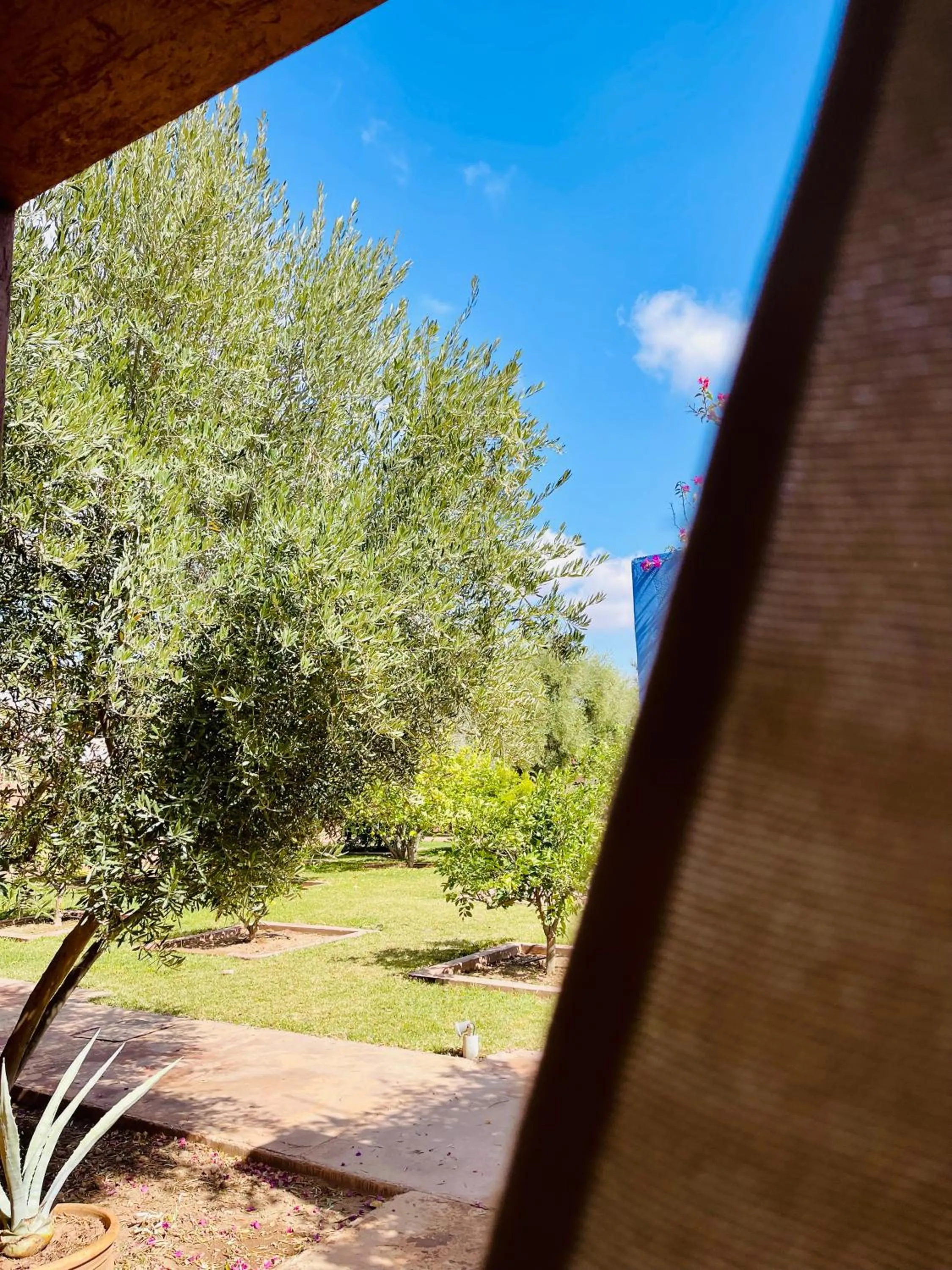 Garden in Les Jardins de Kesali By La Siredrah