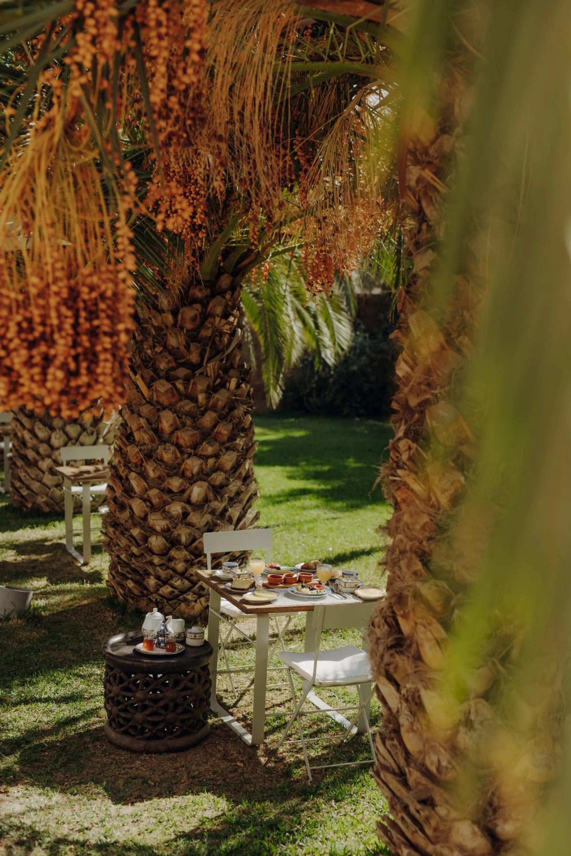 Garden in Les Jardins de Kesali By La Siredrah