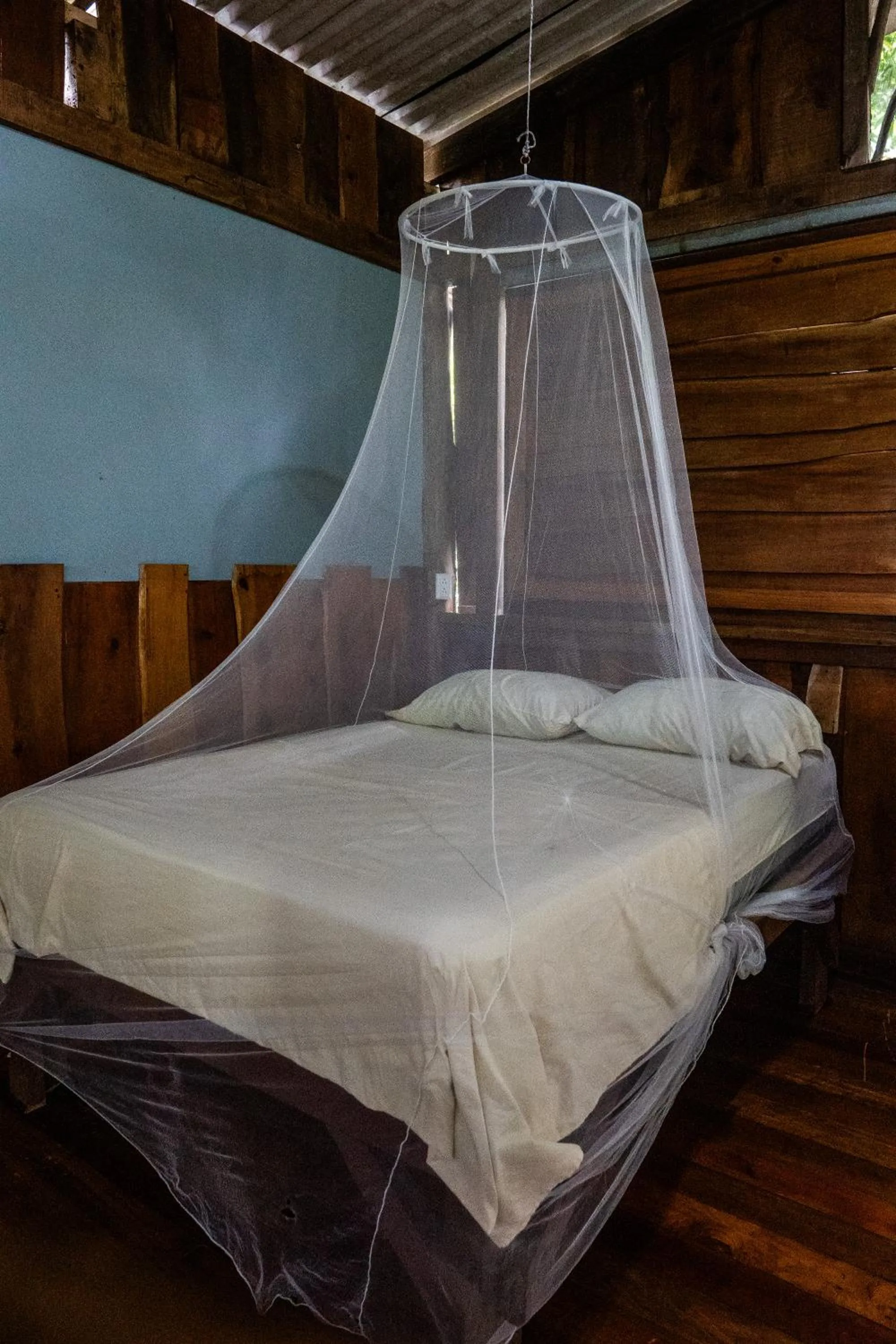 Bed in Flutterby House Hostel