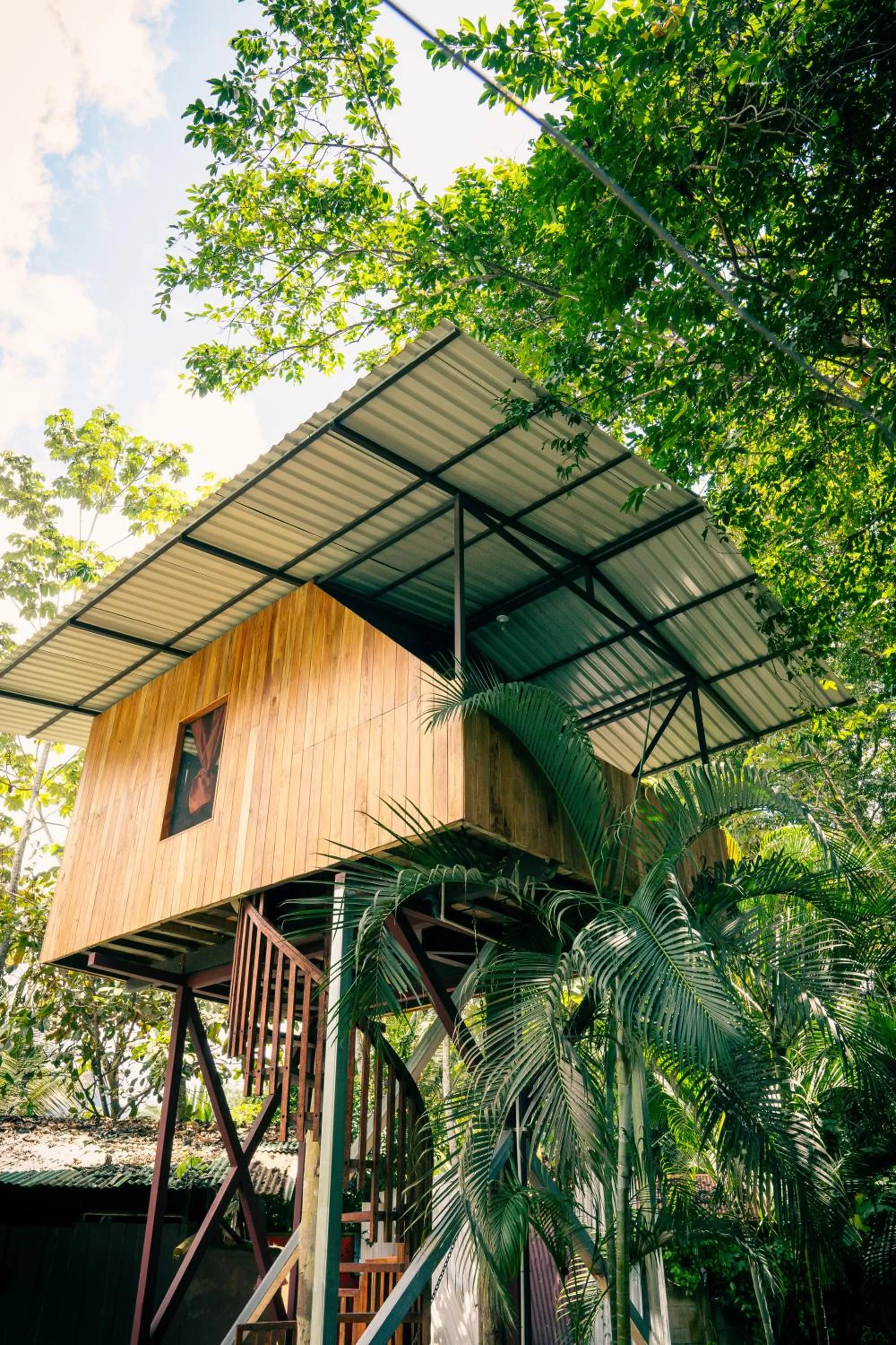 Flutterby House Hostel