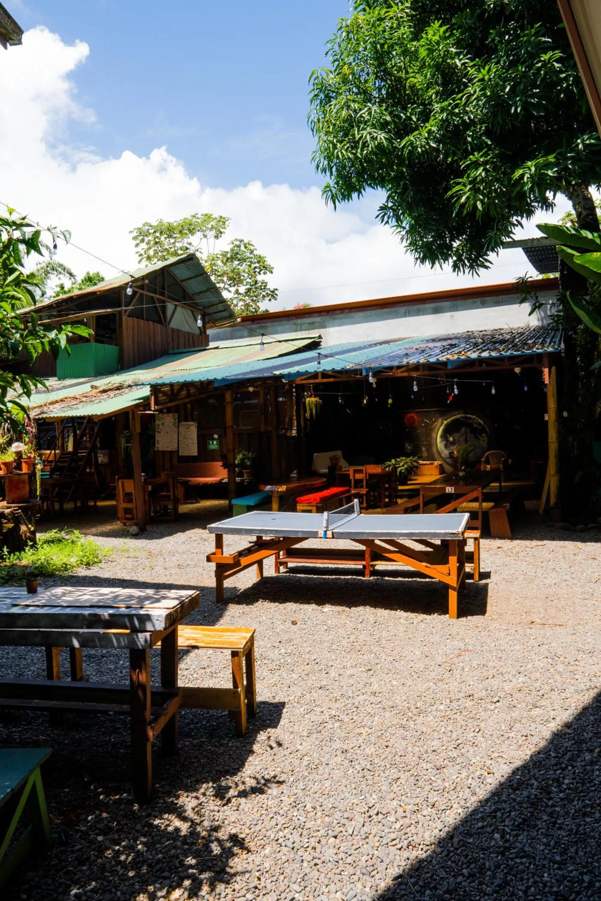Patio in Flutterby House Hostel
