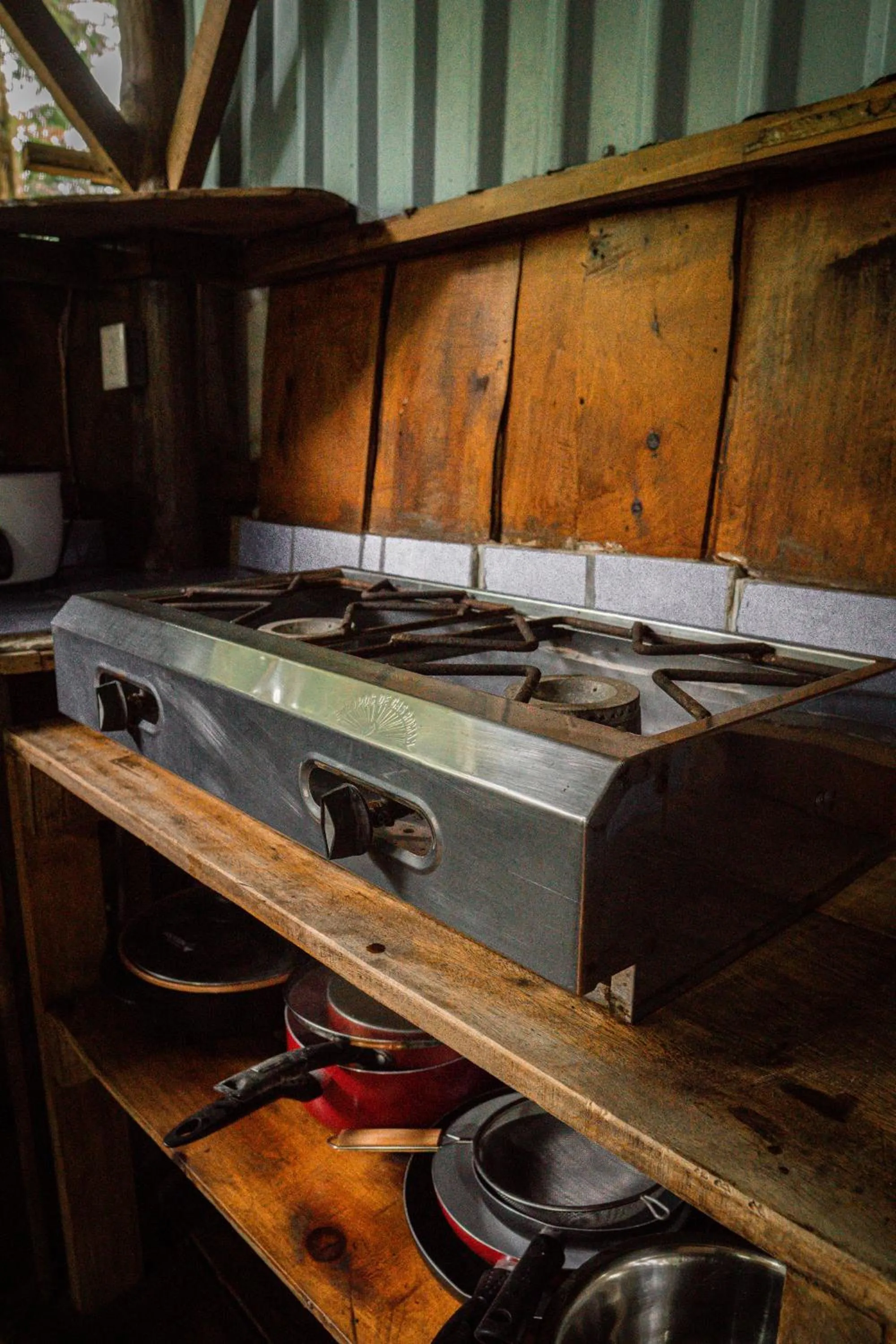 Kitchen or kitchenette in Flutterby House Hostel