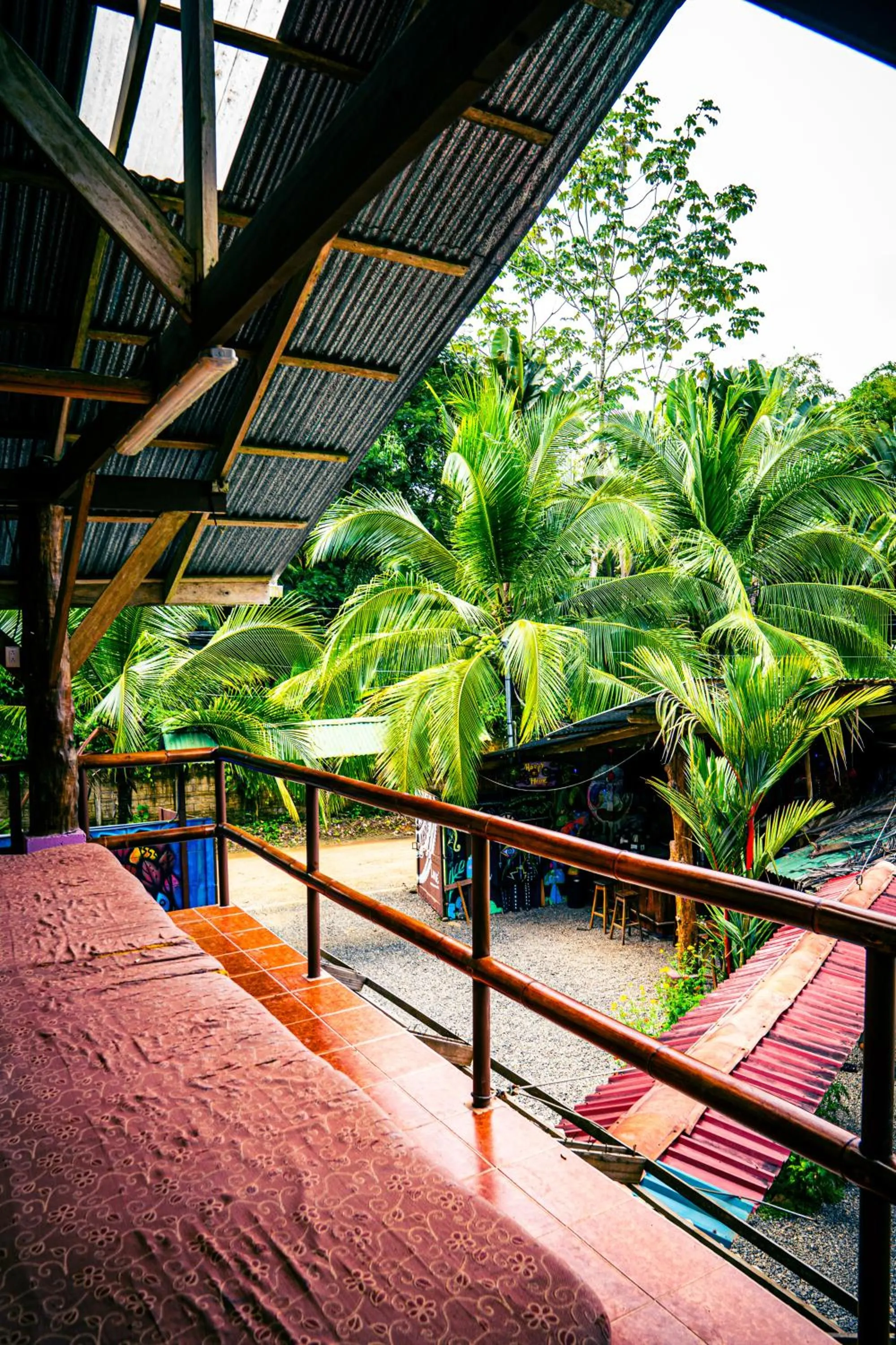 Photo of the whole room in Flutterby House Hostel