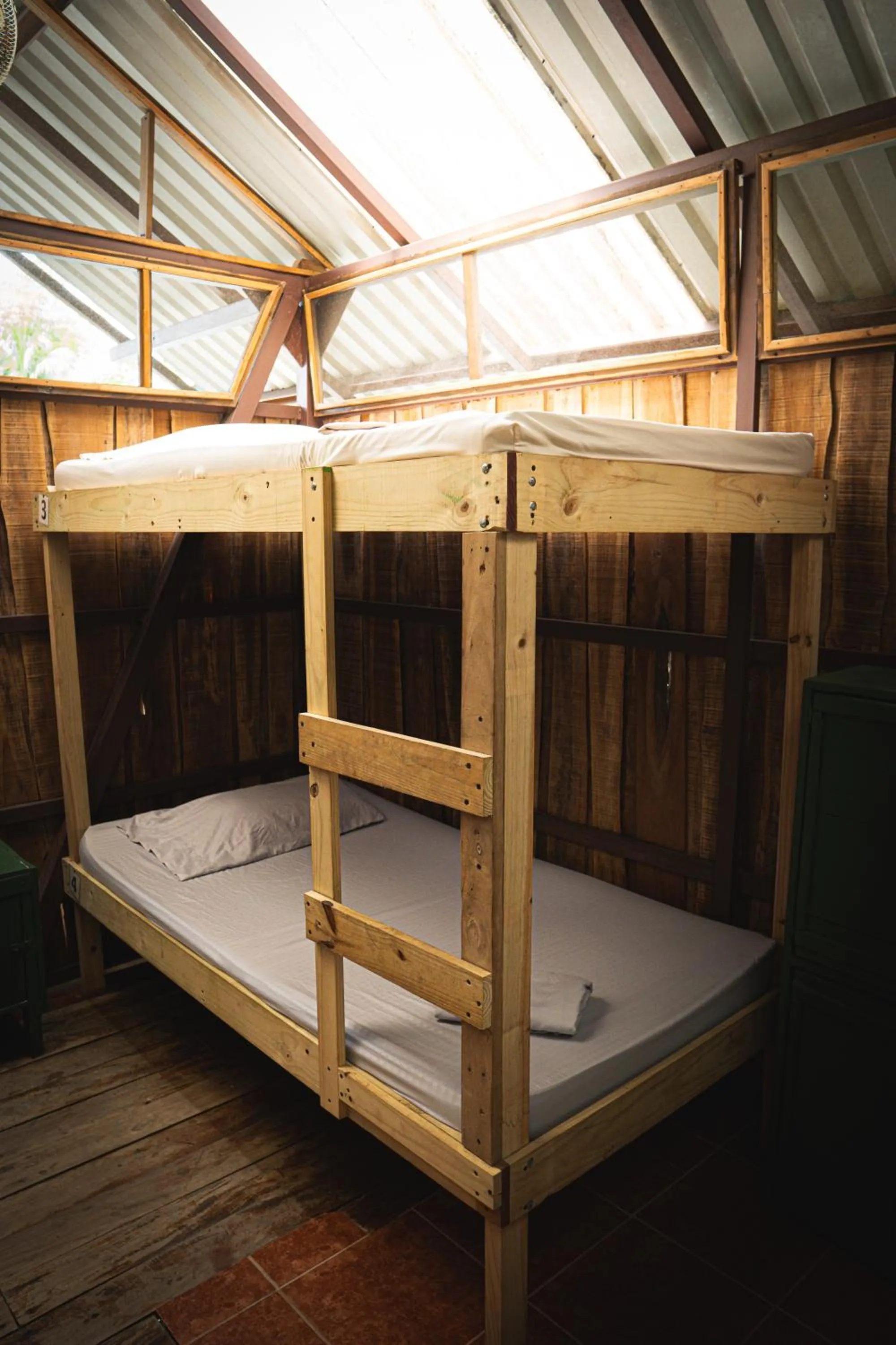 Bed in Flutterby House Hostel