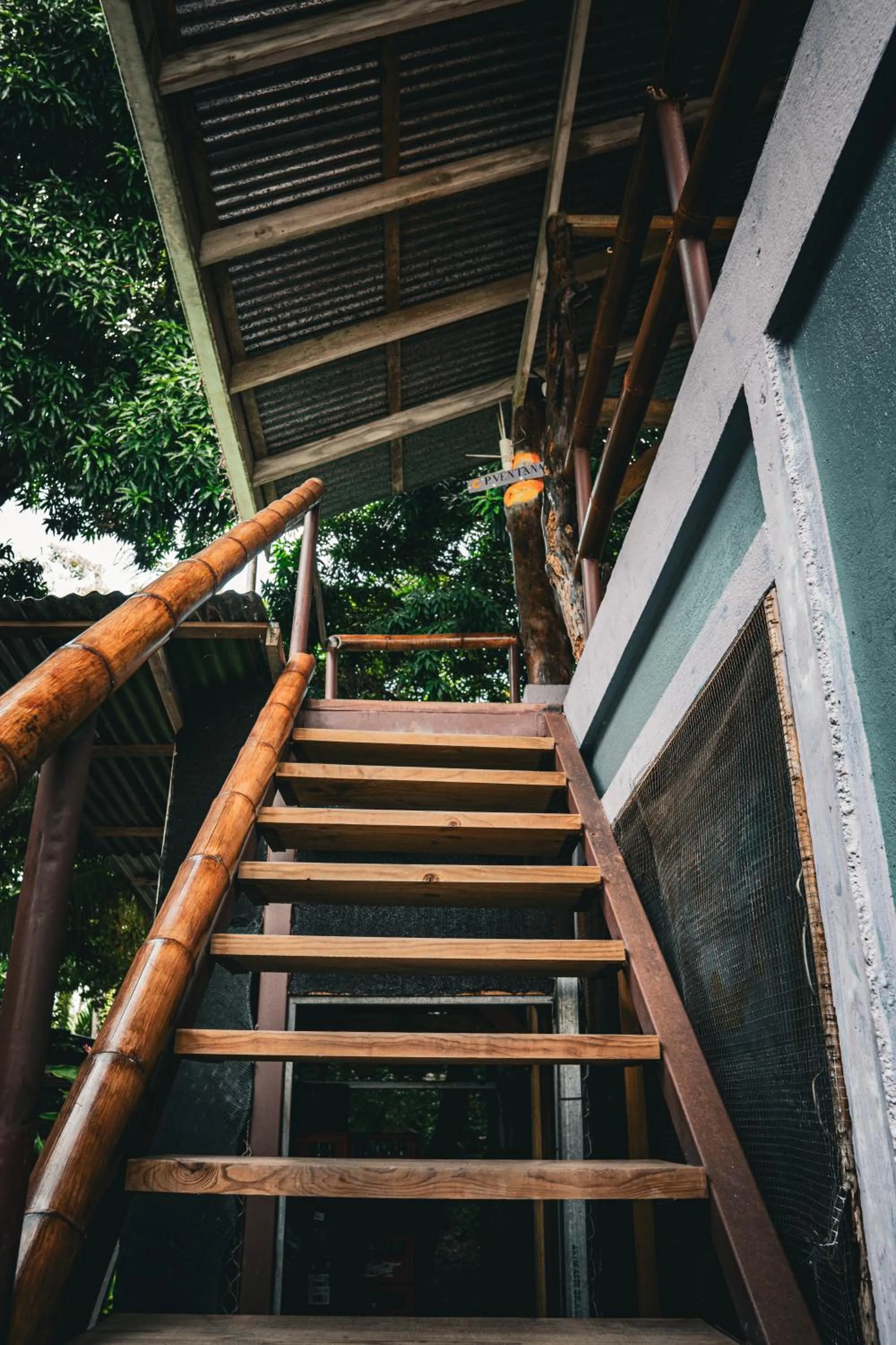 Flutterby House Hostel