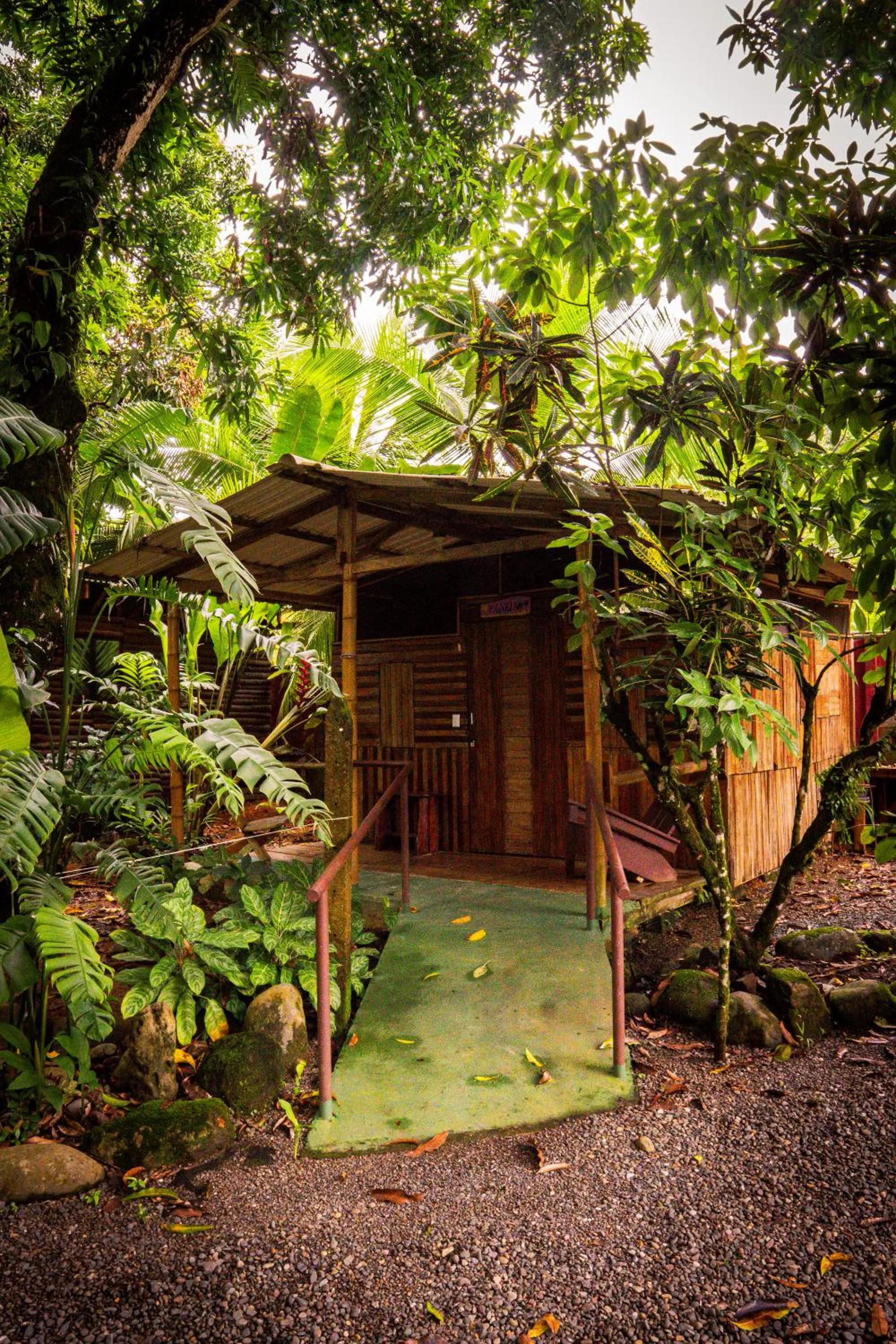 Natural landscape in Flutterby House Hostel