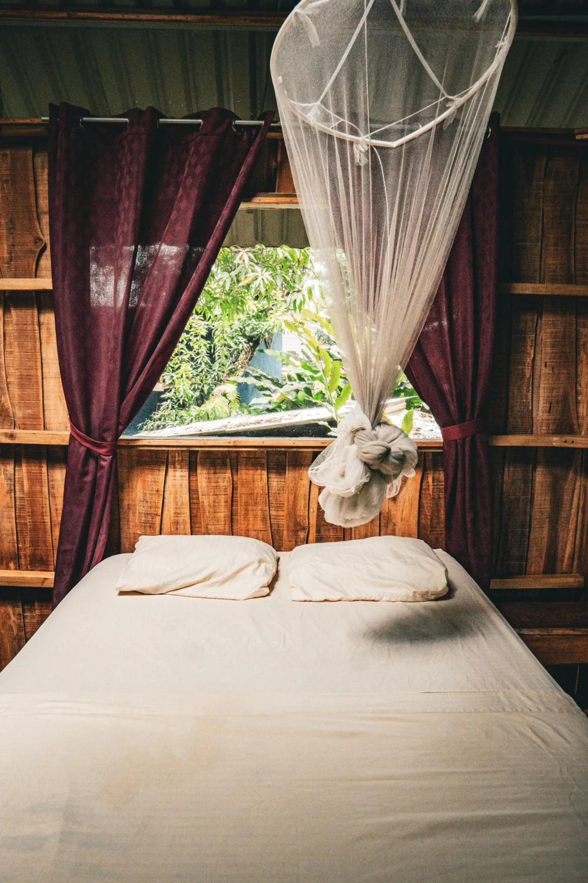 Bed in Flutterby House Hostel