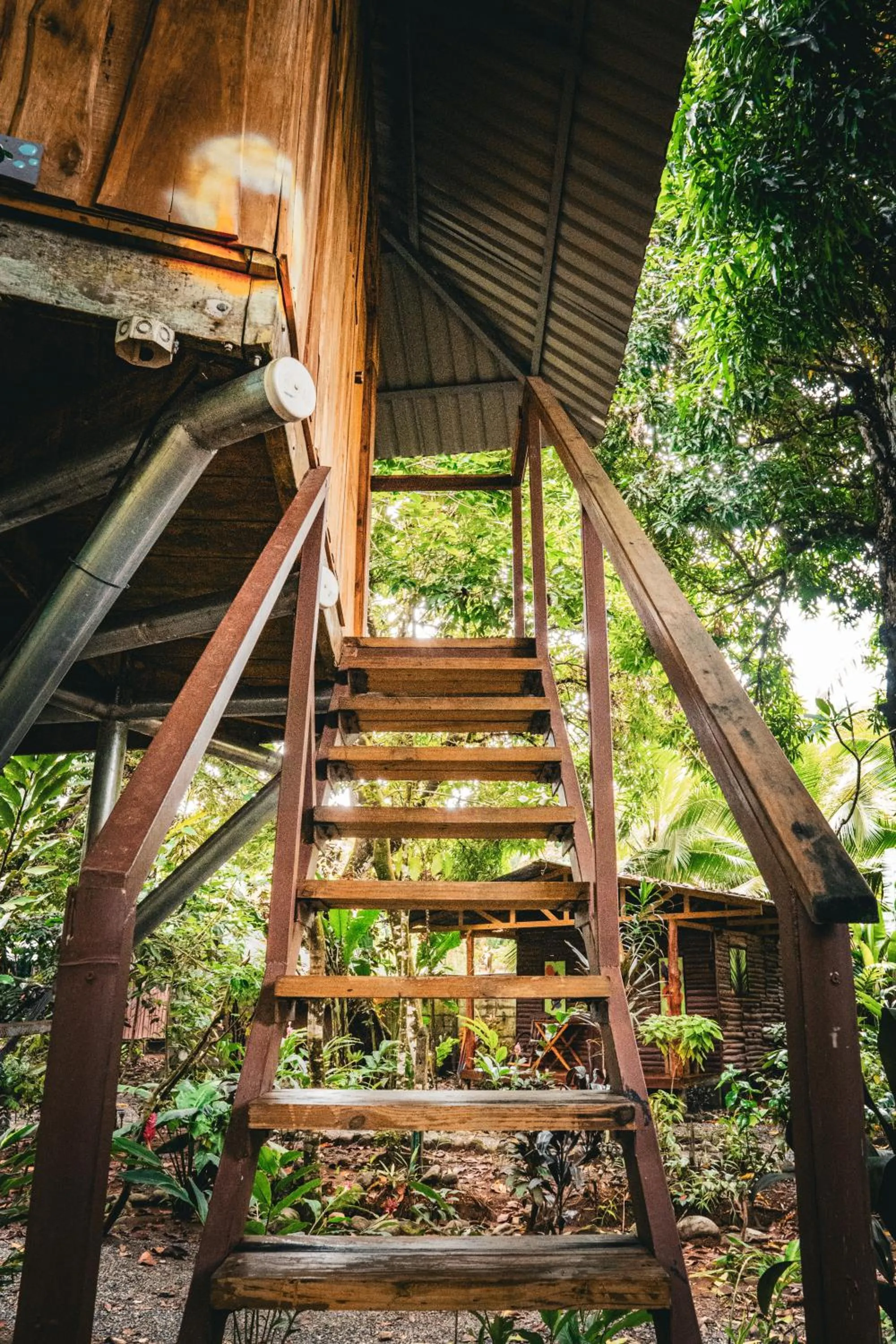 Garden view in Flutterby House Hostel