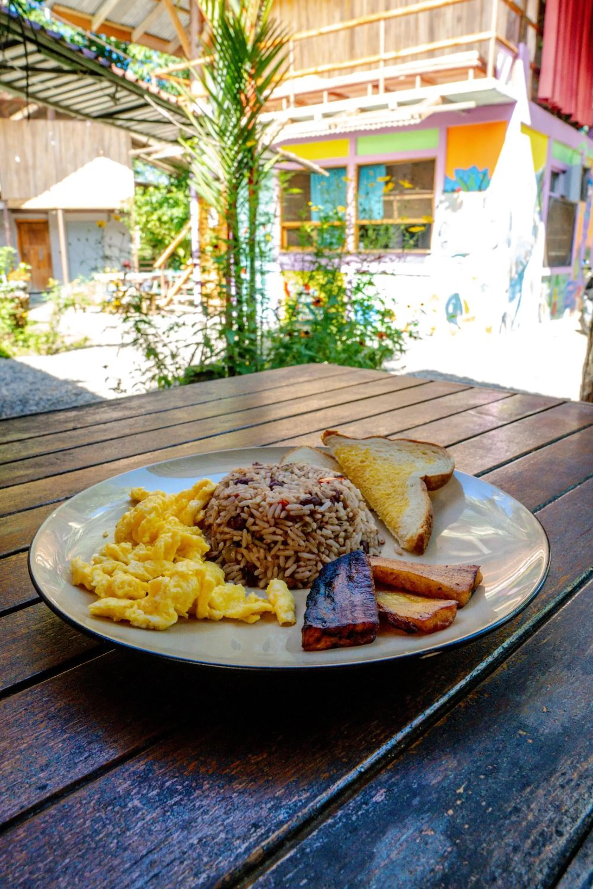 Restaurant/places to eat in Flutterby House Hostel