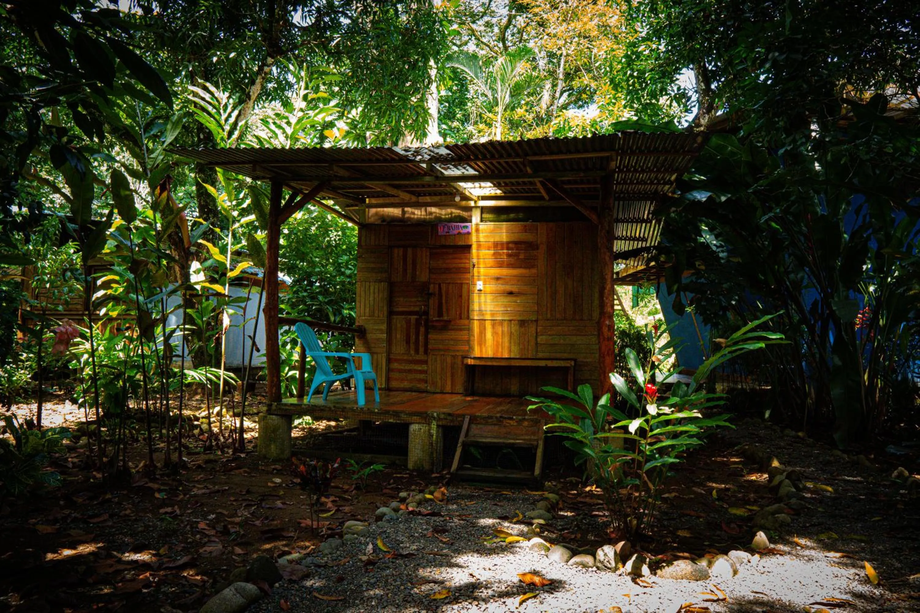 Natural landscape in Flutterby House Hostel